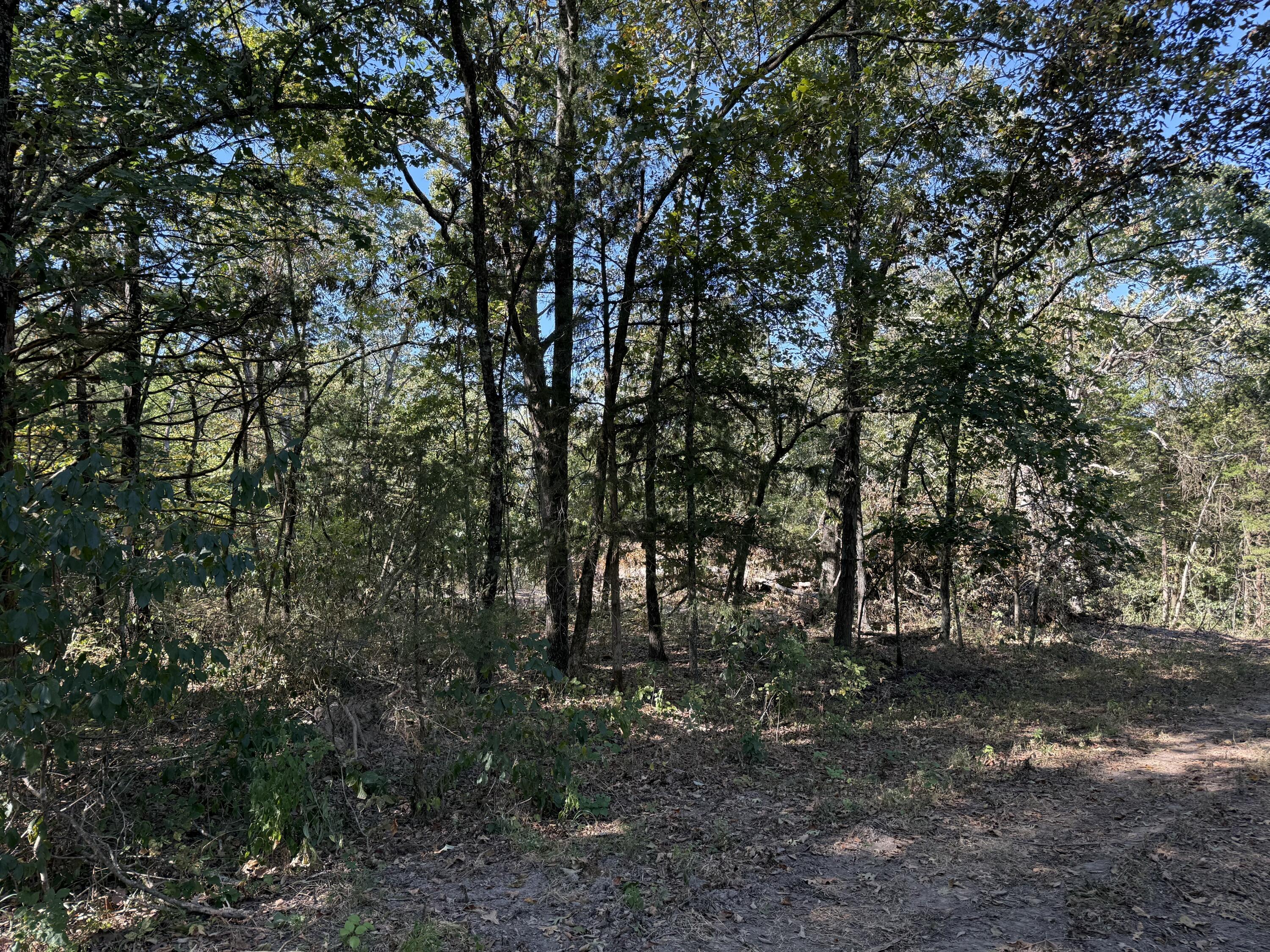 Photo 2 - Land for sale – 000  203   Wheatland, MO