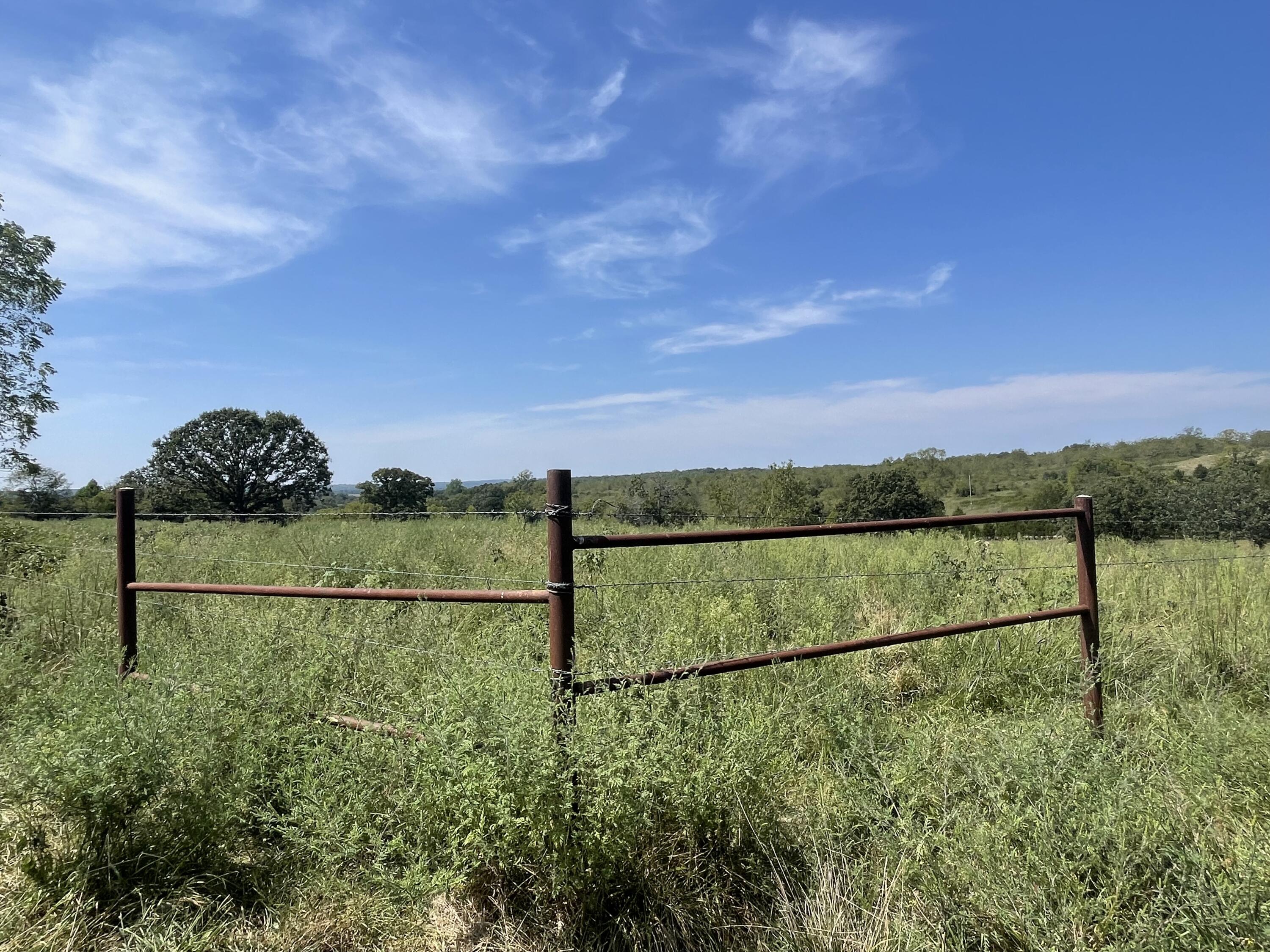 Photo 21 - Farm for sale – 000 E County Road E76-114   Ava, MO
