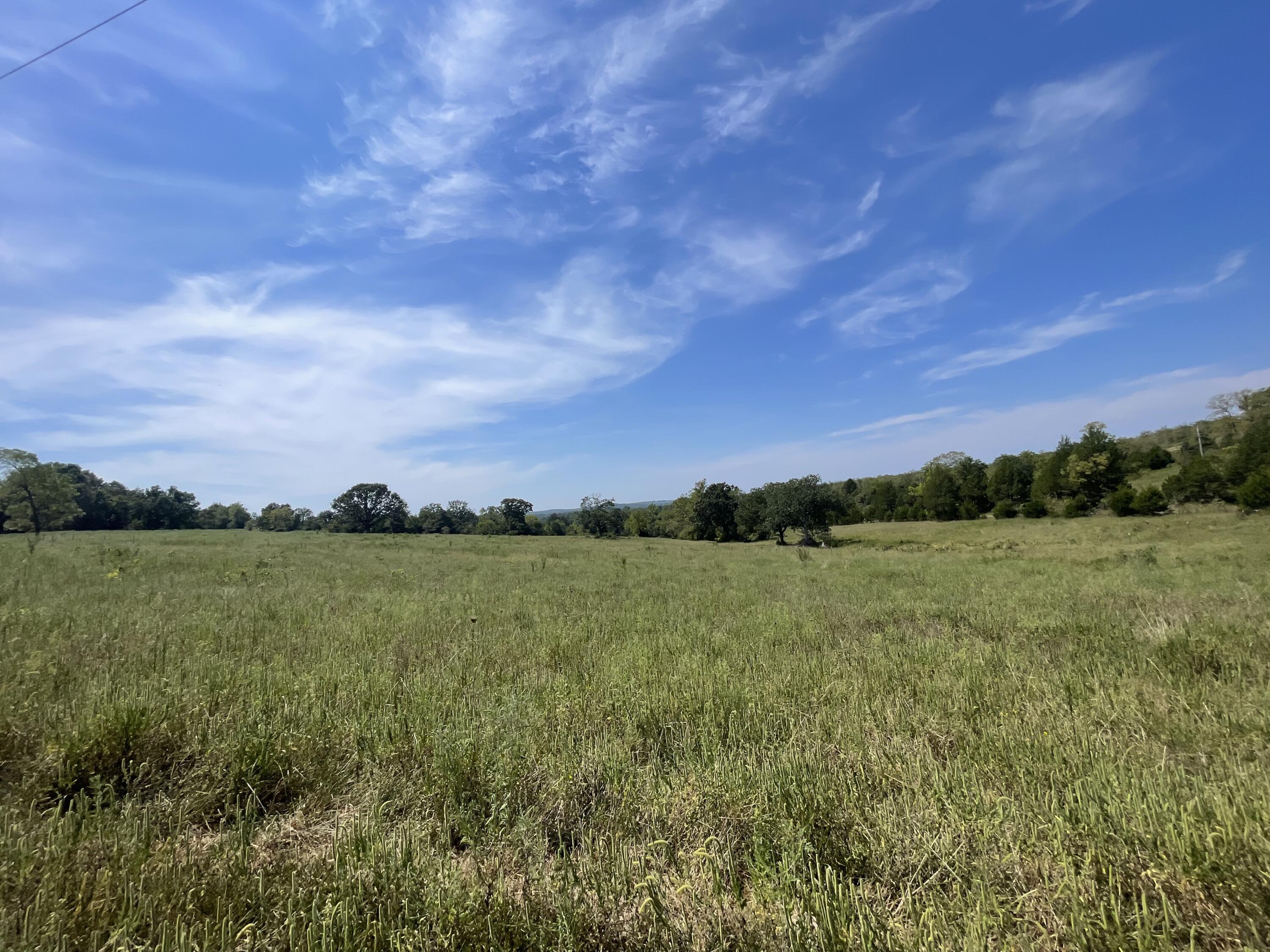 Photo 23 - Farm for sale – 000 E County Road E76-114   Ava, MO