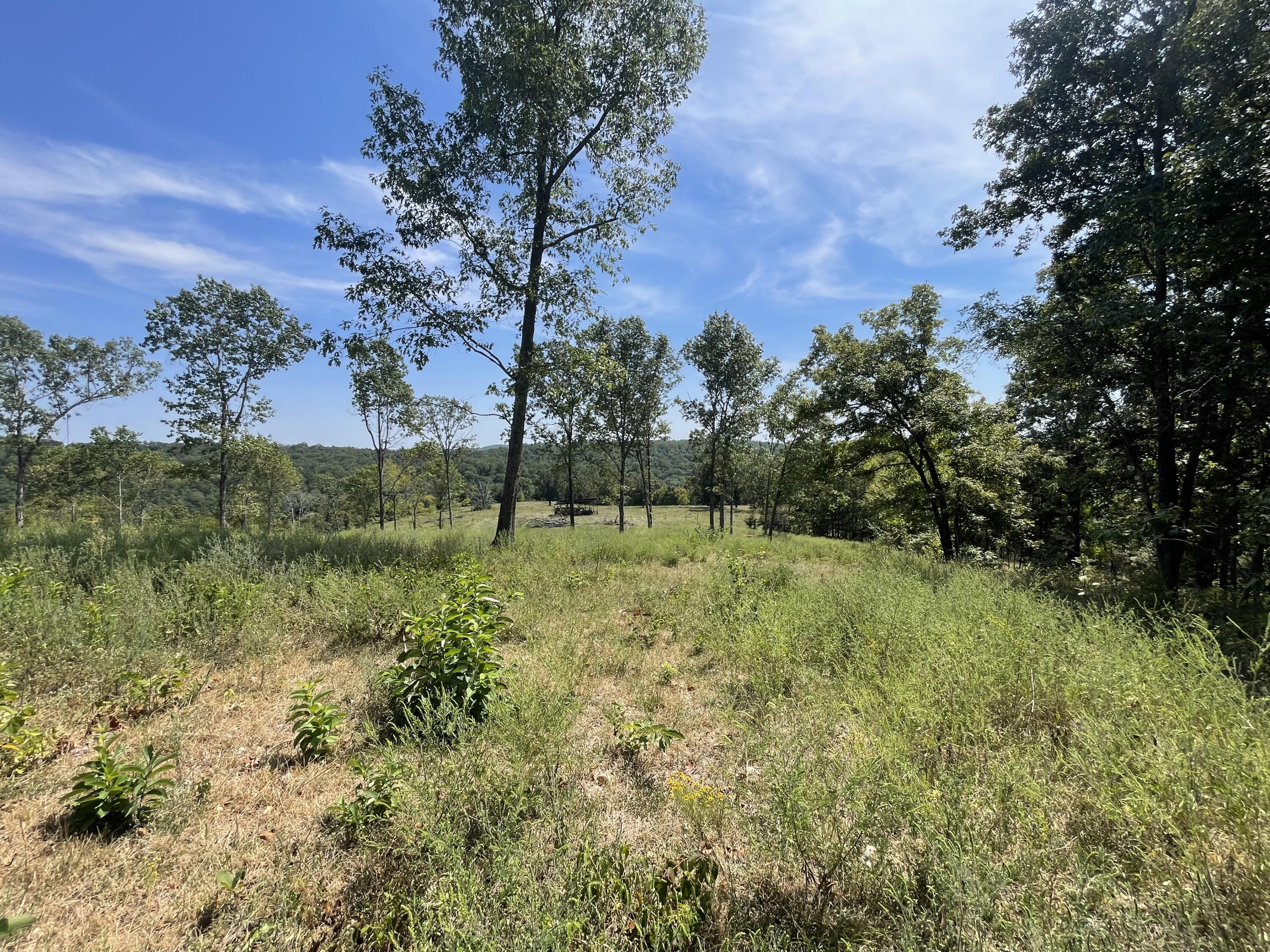 Photo 16 - Farm for sale – 000 E County Road E76-114   Ava, MO