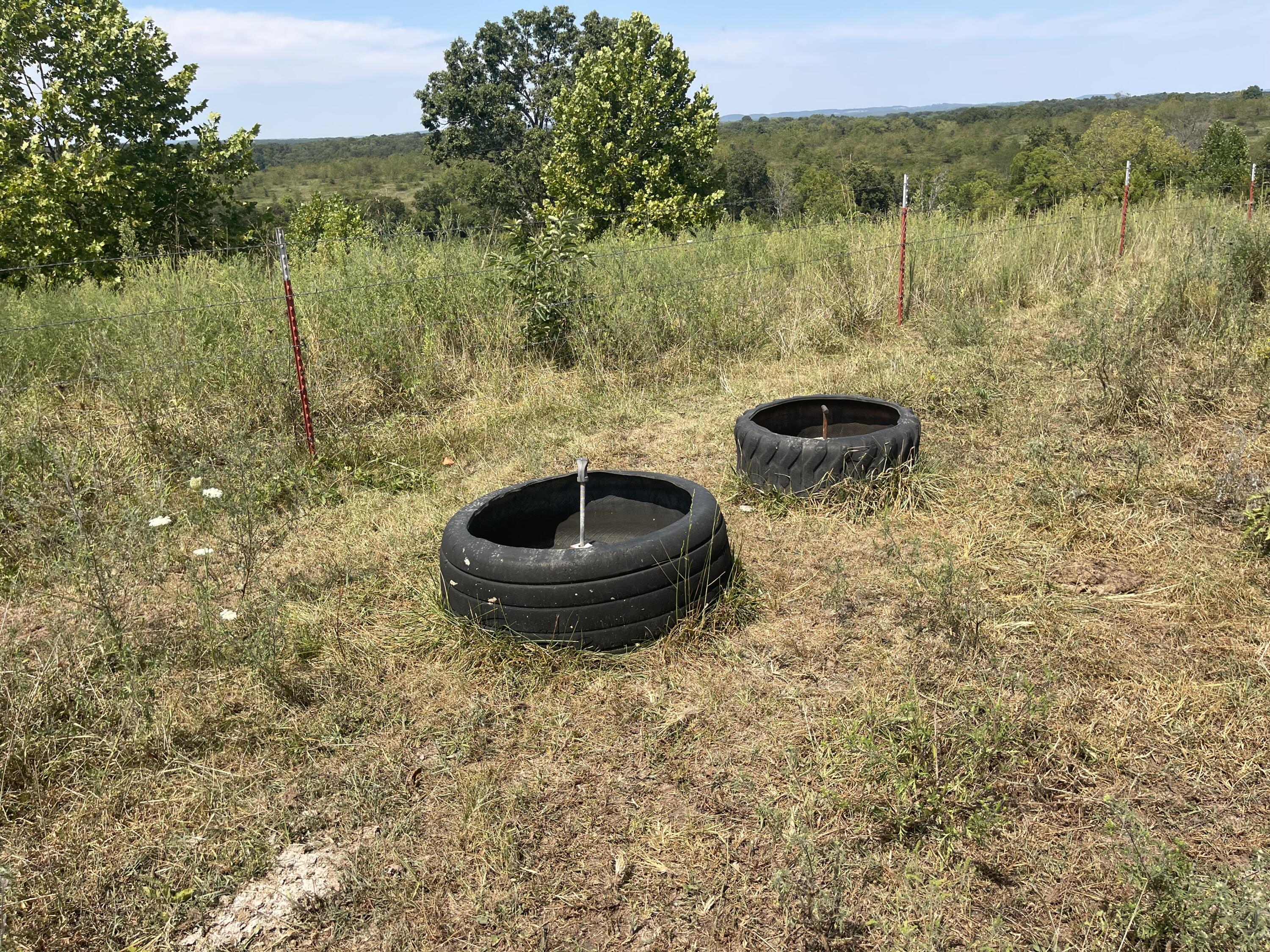 Photo 17 - Farm for sale – 000 E County Road E76-114   Ava, MO