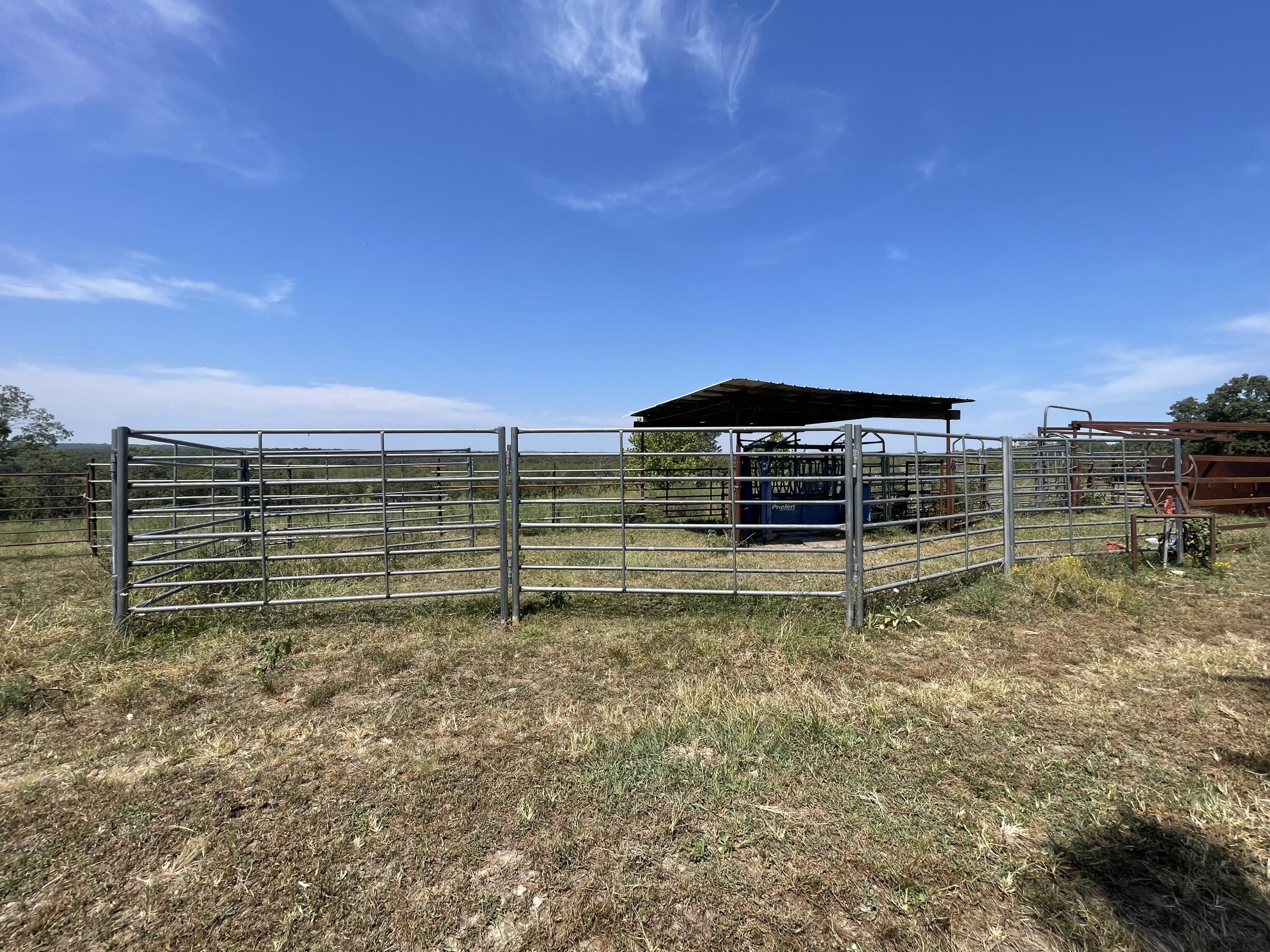 Photo 15 - Farm for sale – 000 E County Road E76-114   Ava, MO