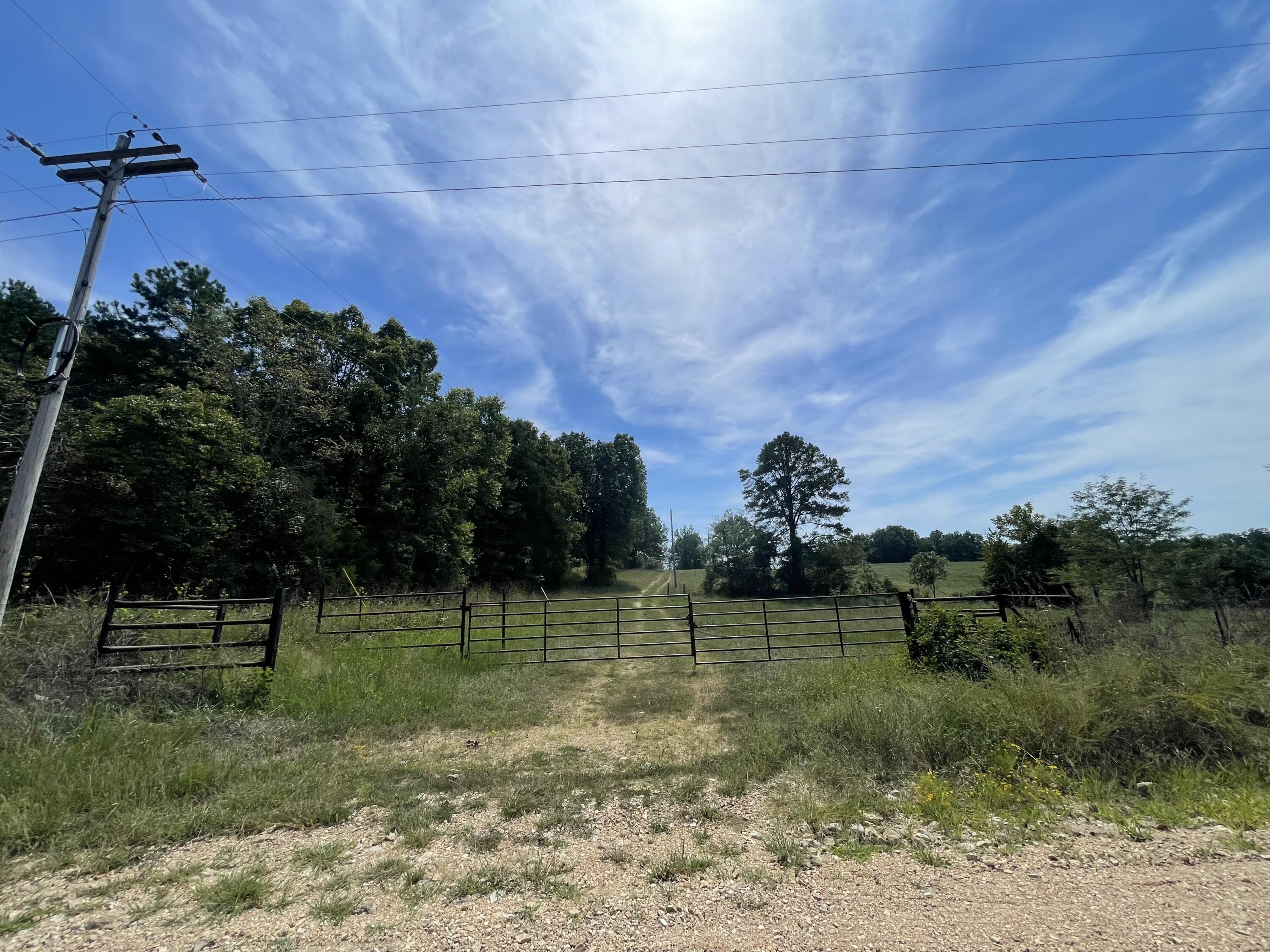 Photo 24 - Farm for sale – 000 E County Road E76-114   Ava, MO