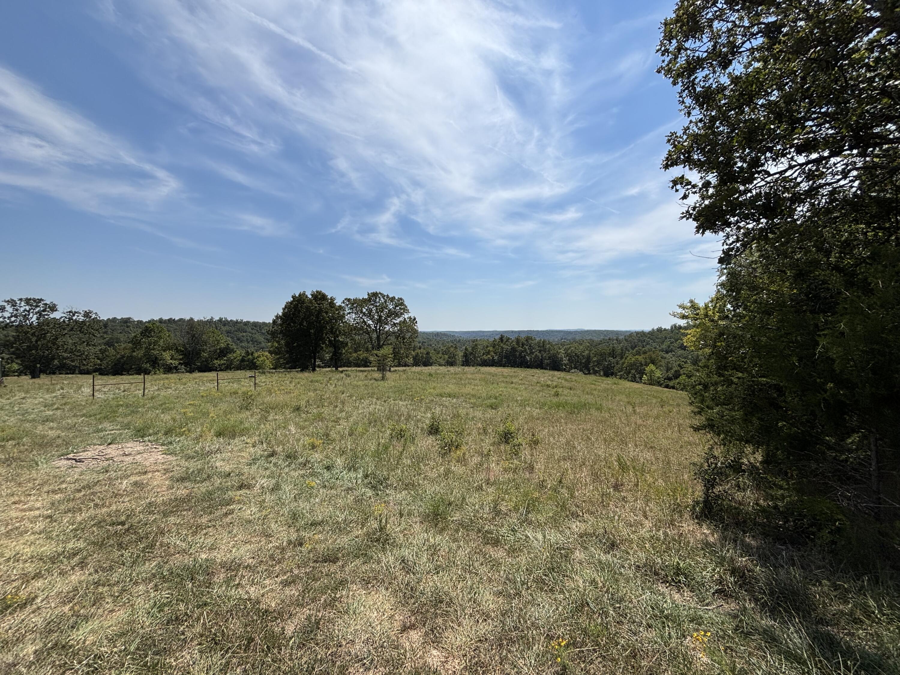 Photo 6 - Farm for sale – 000 E County Road E76-114   Ava, MO