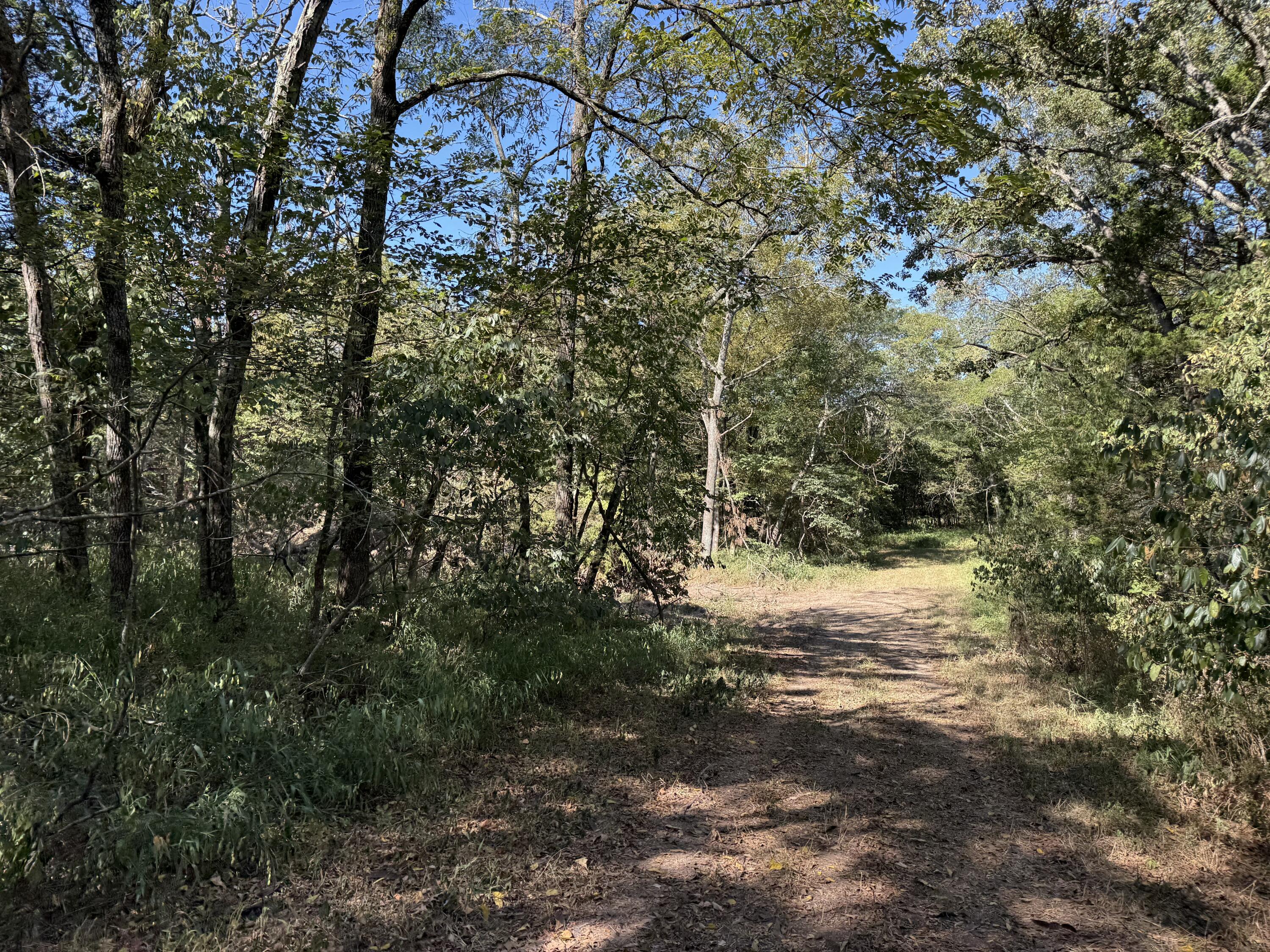 Photo 8 - Land for sale – 000  203   Wheatland, MO