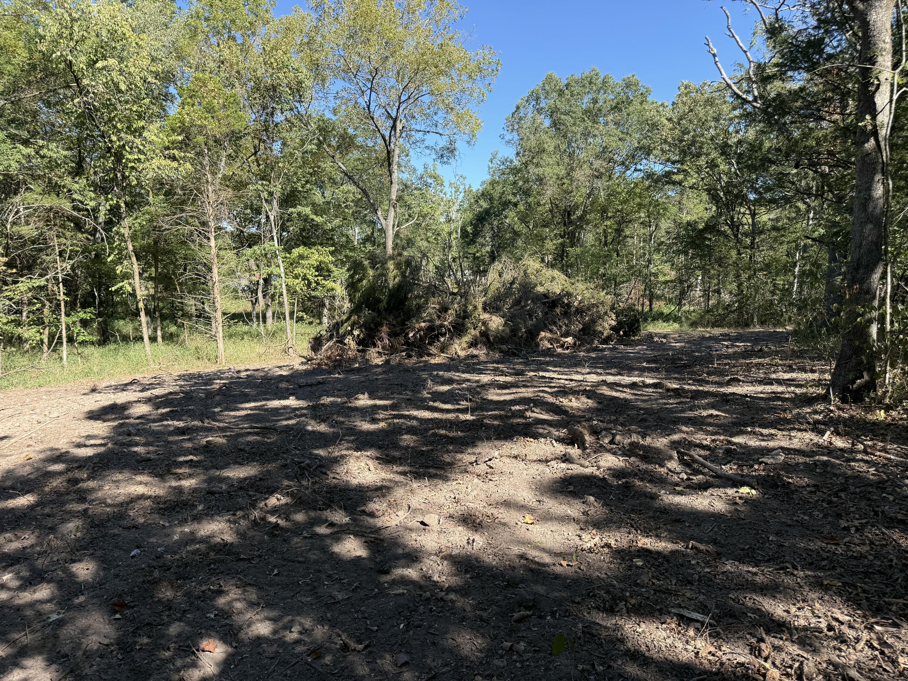 Photo 2 - Land for sale – 000  203   Wheatland, MO