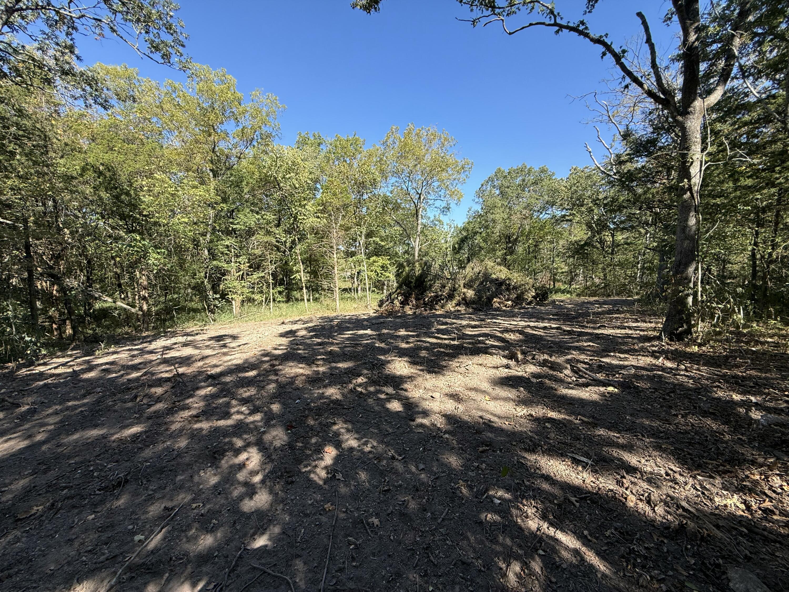 Photo 3 - Land for sale – 000  203   Wheatland, MO