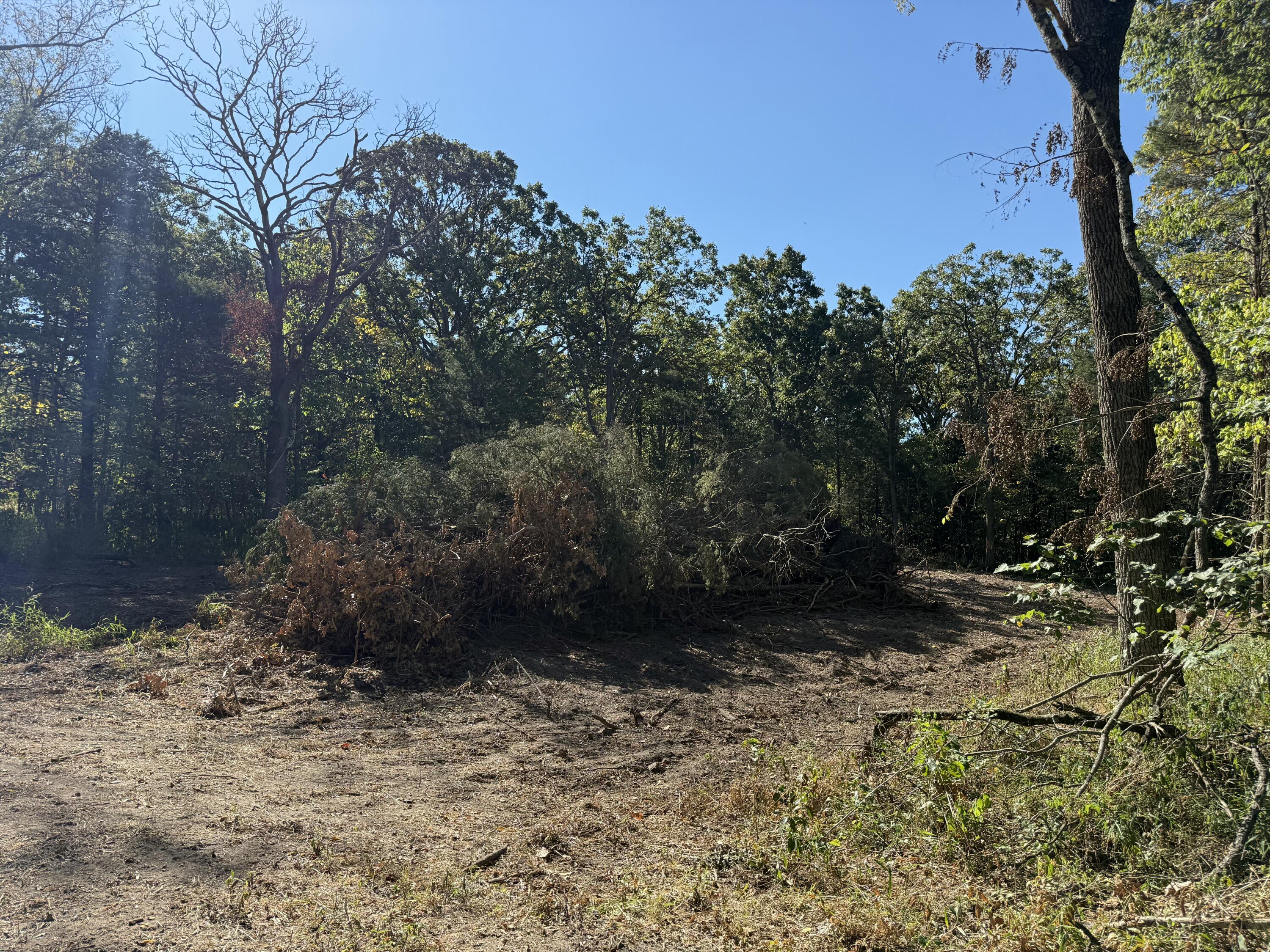 Photo 6 - Land for sale – 000  203   Wheatland, MO