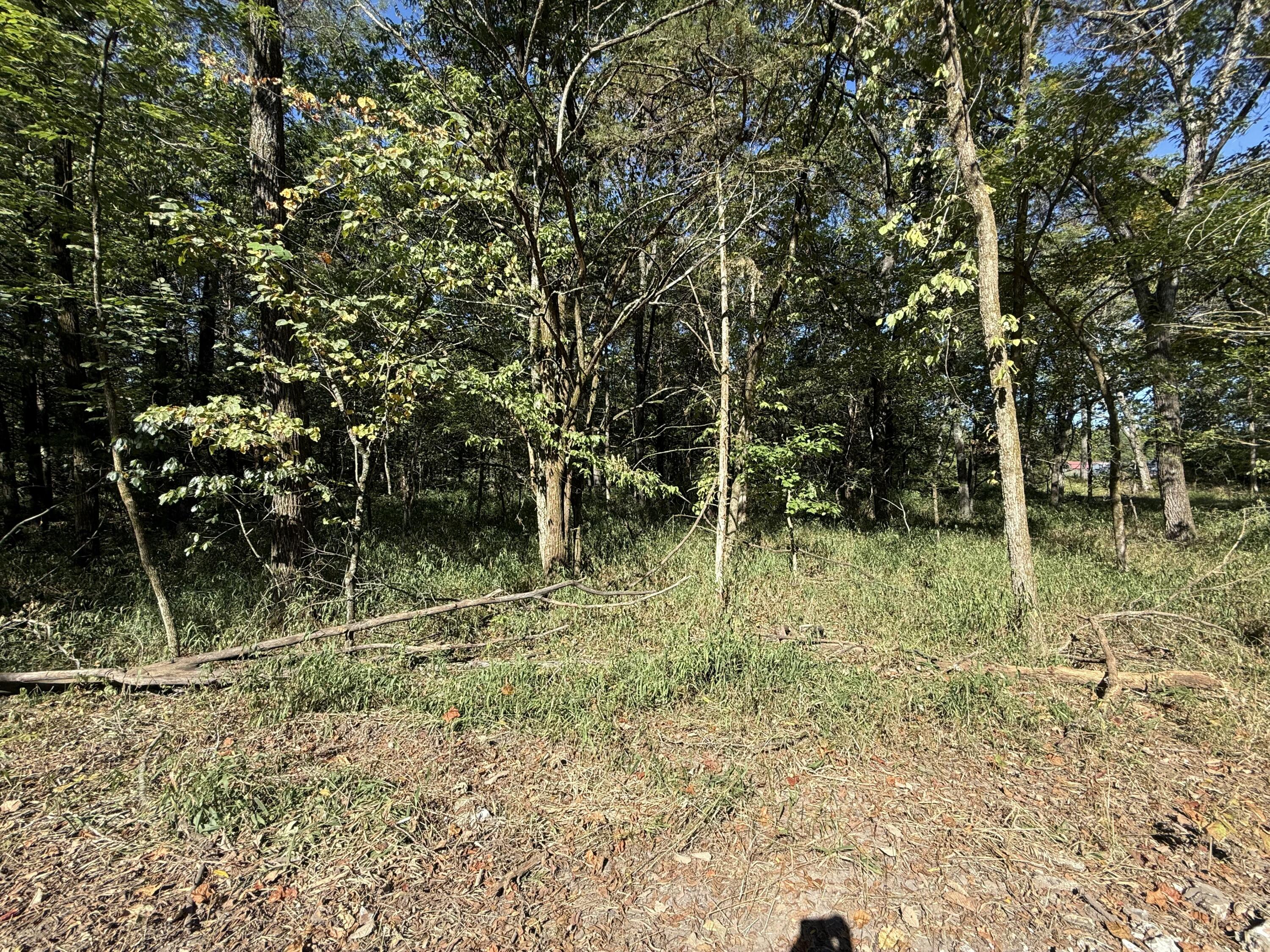 Photo 4 - Land for sale – 000  203   Wheatland, MO