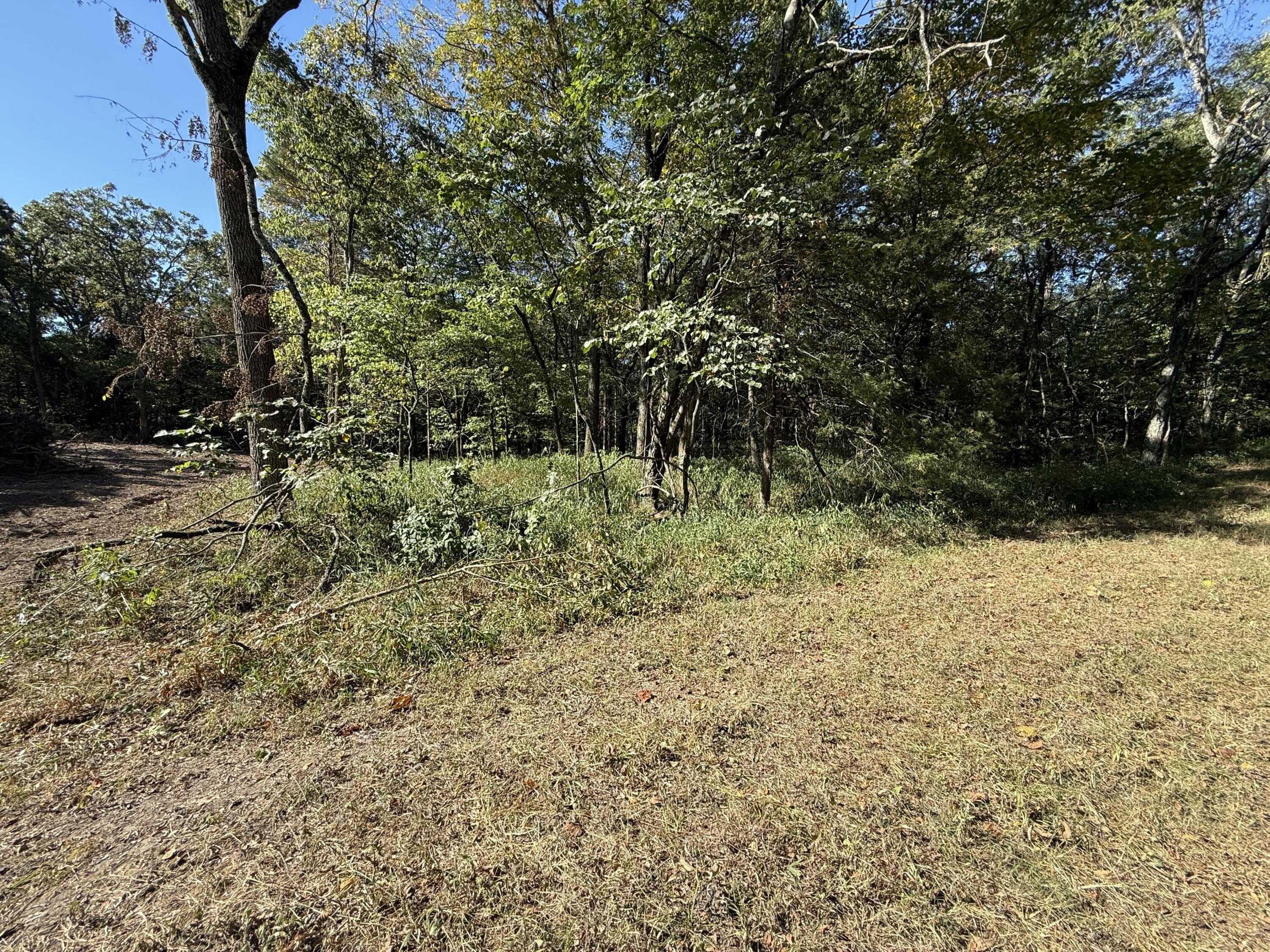 Photo 5 - Land for sale – 000  203   Wheatland, MO