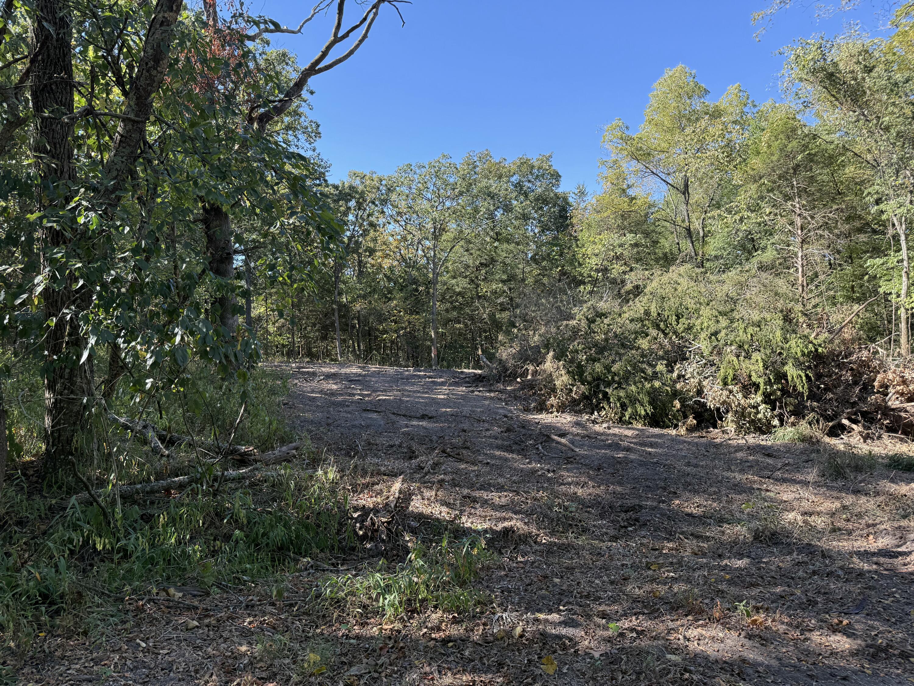 Photo 7 - Land for sale – 000  203   Wheatland, MO