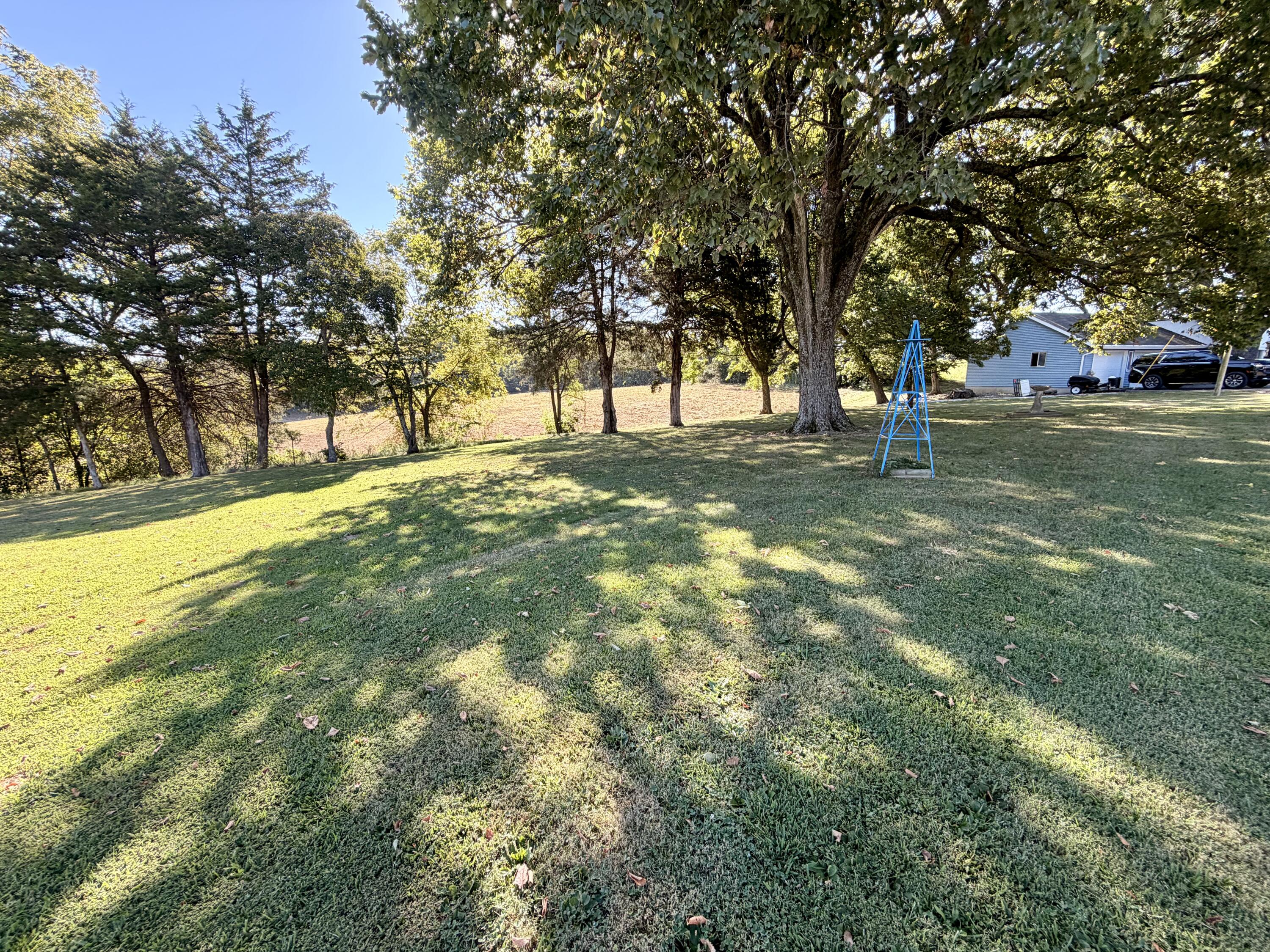 Photo 30 - Residential for sale – 274  State Highway Kk   Rogersville, MO