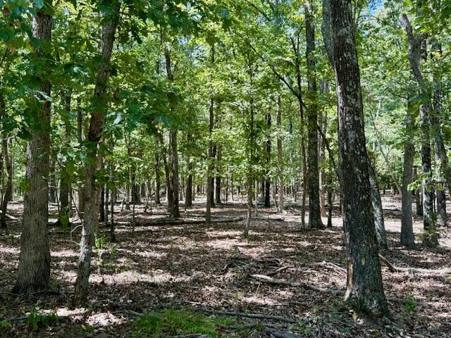 Photo 78 - Residential for sale – 22285  Midvale Road  Summersville, MO