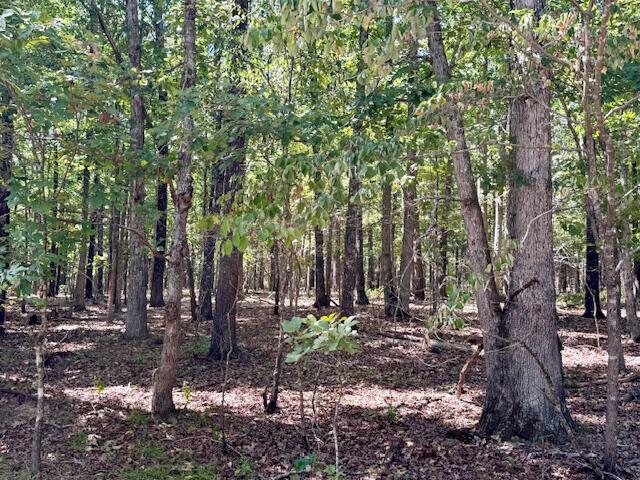 Photo 75 - Residential for sale – 22285  Midvale Road  Summersville, MO