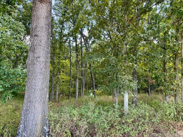 Photo 77 - Residential for sale – 22285  Midvale Road  Summersville, MO