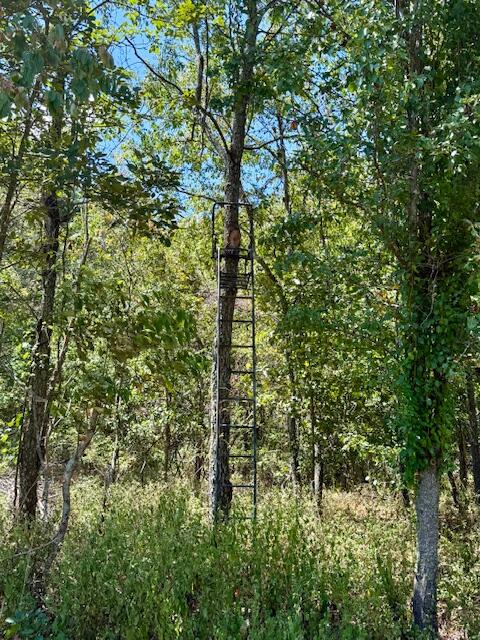 Photo 69 - Residential for sale – 22285  Midvale Road  Summersville, MO