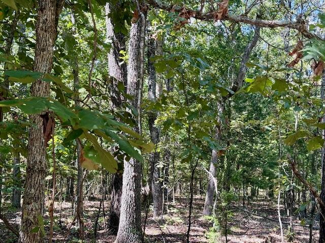 Photo 76 - Residential for sale – 22285  Midvale Road  Summersville, MO