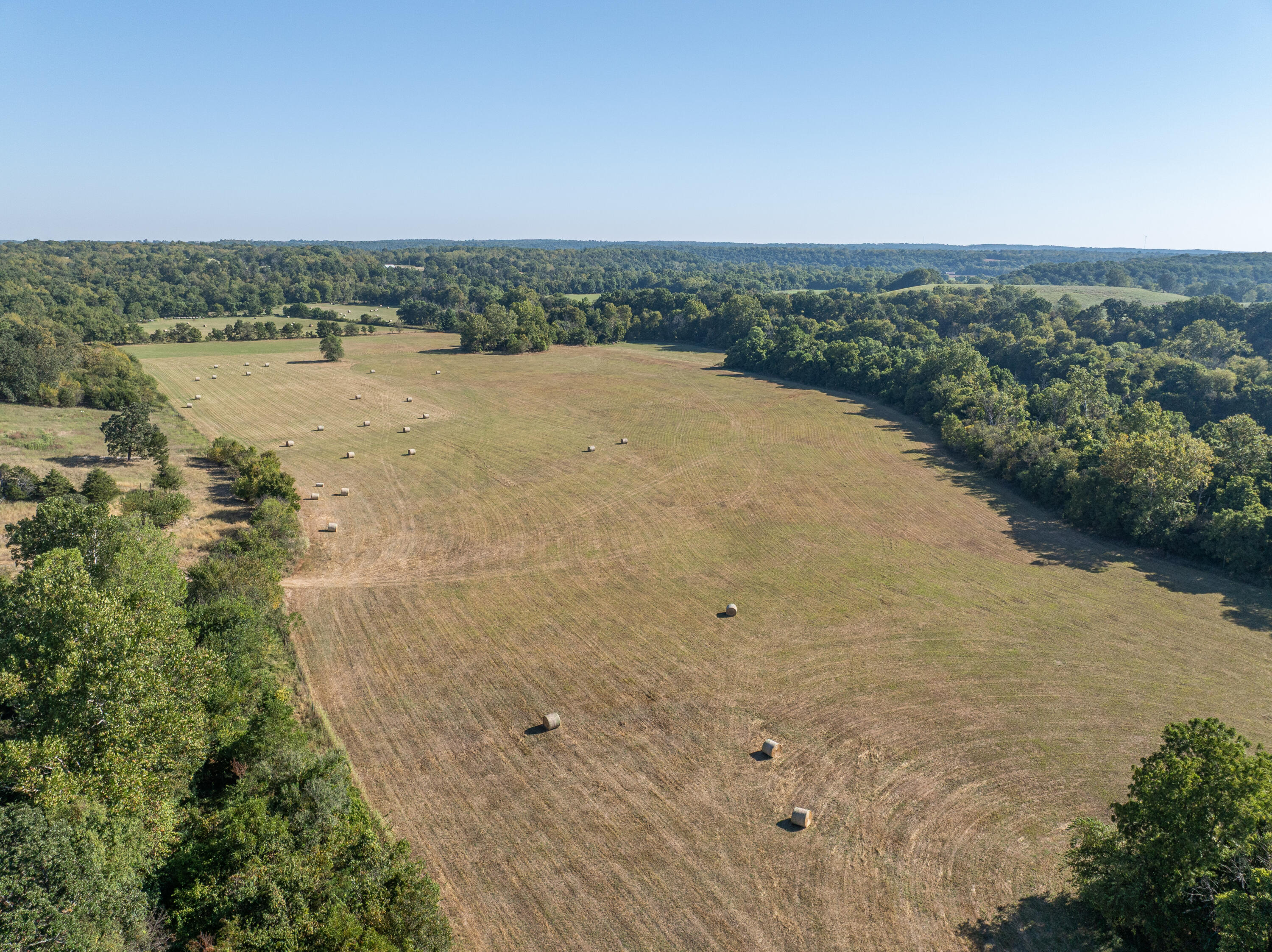 Photo 62 - Farm for sale – 6500 W Twelve Oaks Lane  Willard, MO