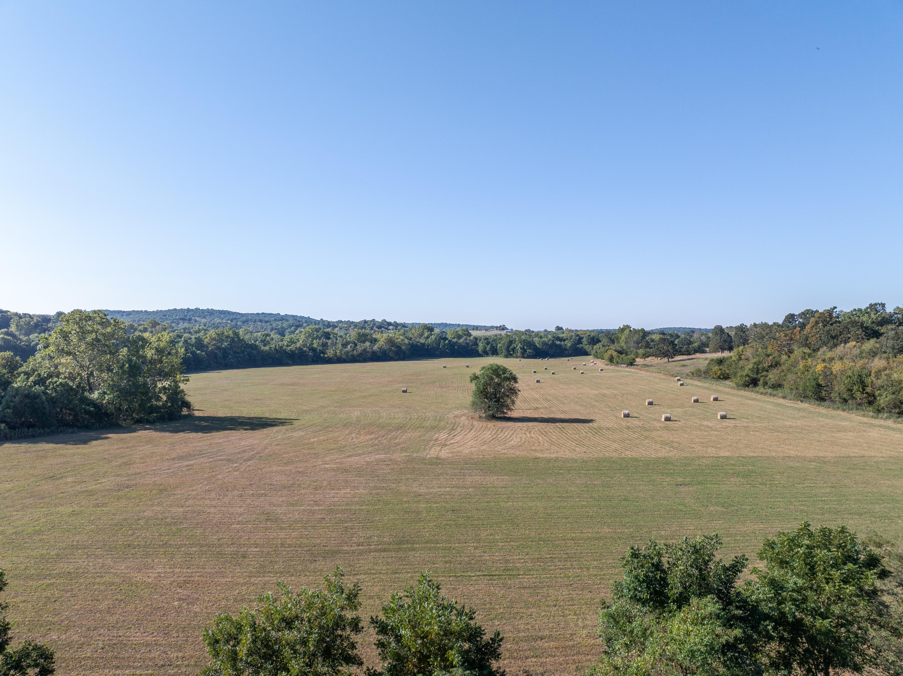 Photo 54 - Farm for sale – 6500 W Twelve Oaks Lane  Willard, MO