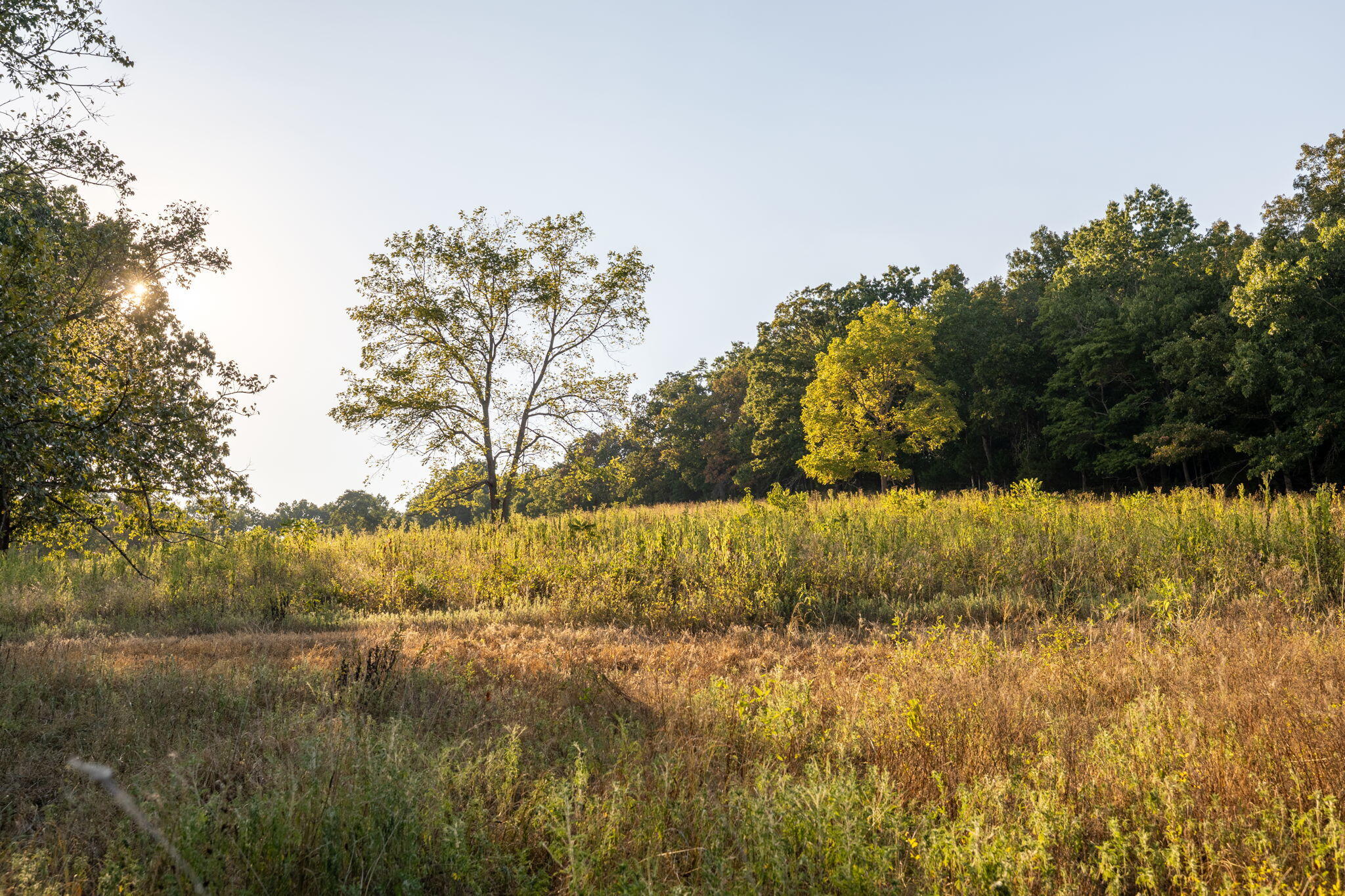 Photo 48 - Land for sale – 0000  State Highway 90   Washburn, MO