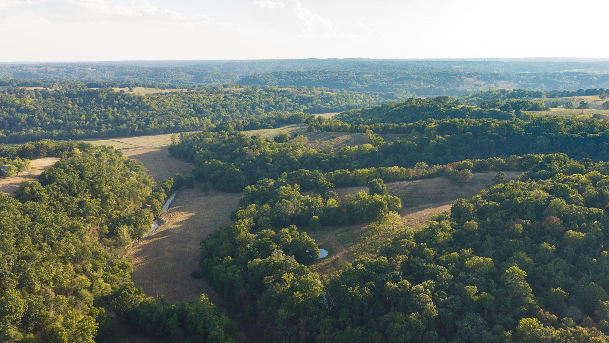 Photo 19 - Land for sale – 0000  State Highway 90   Washburn, MO