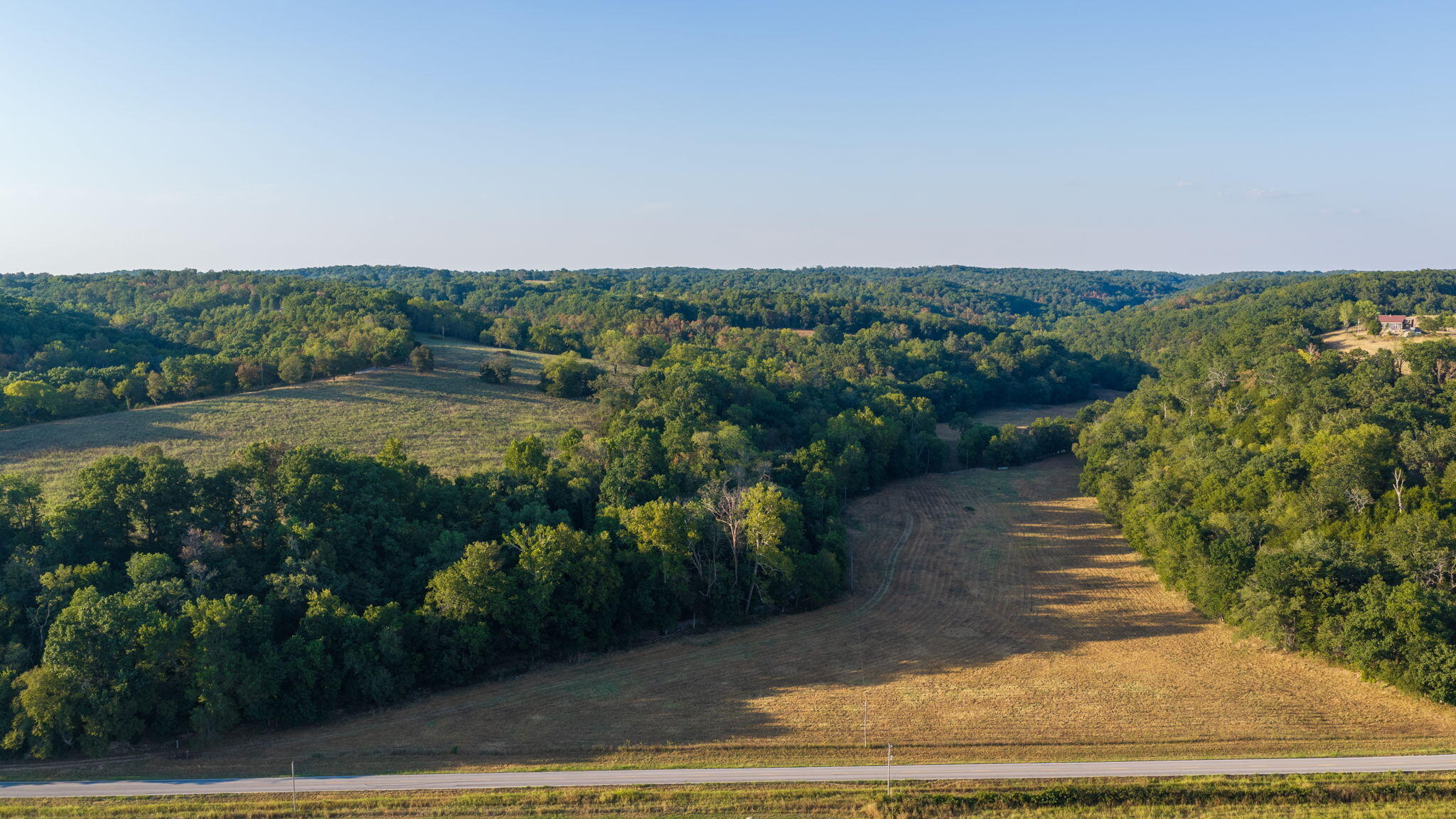 Photo 10 - Land for sale – 0000  State Highway 90   Washburn, MO