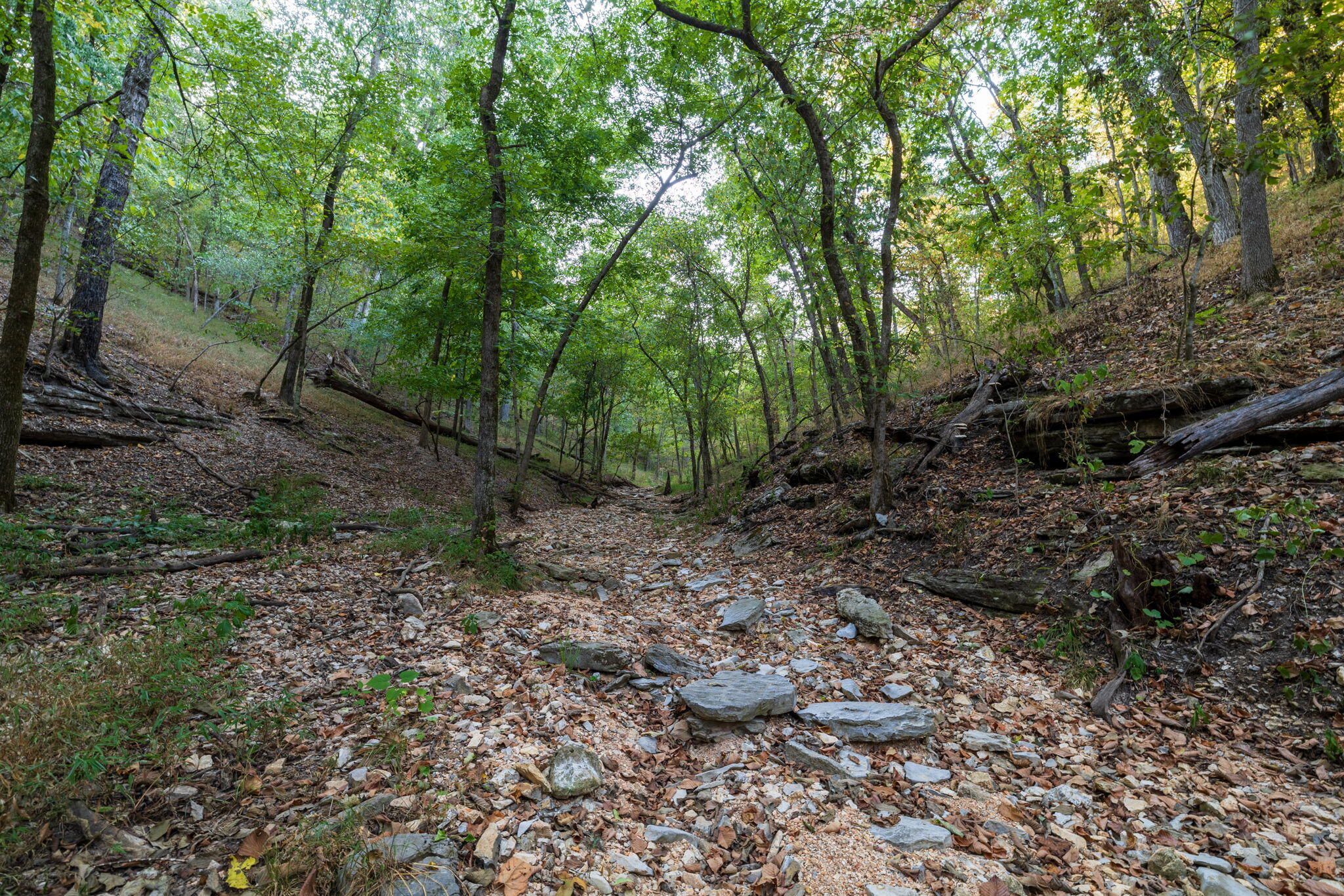Photo 42 - Land for sale – 0000  State Highway 90   Washburn, MO