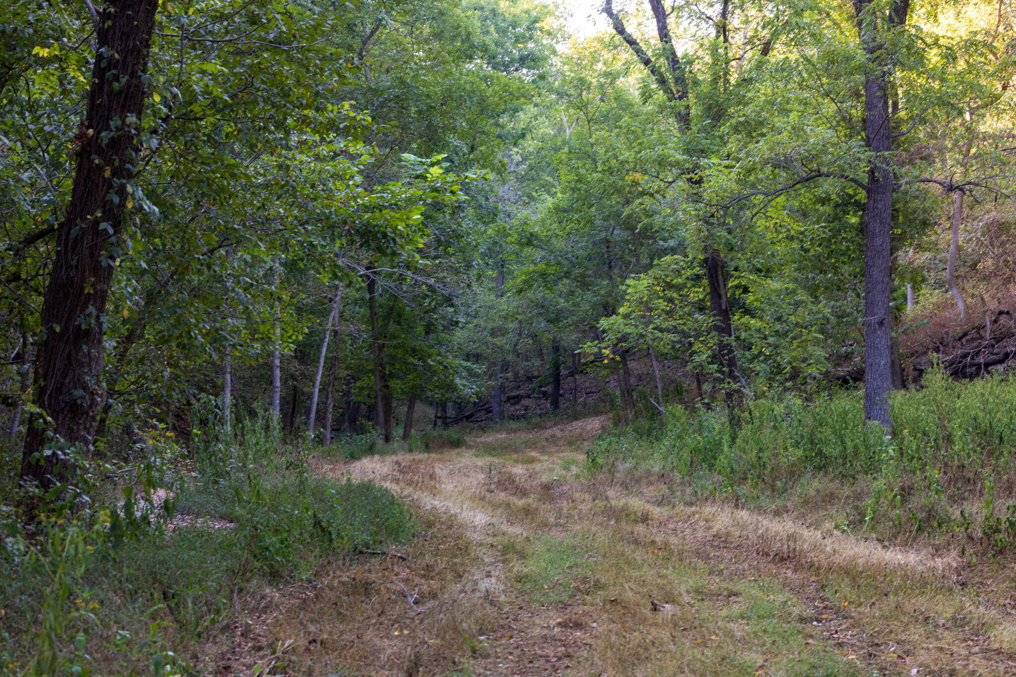Photo 53 - Land for sale – 0000  State Highway 90   Washburn, MO