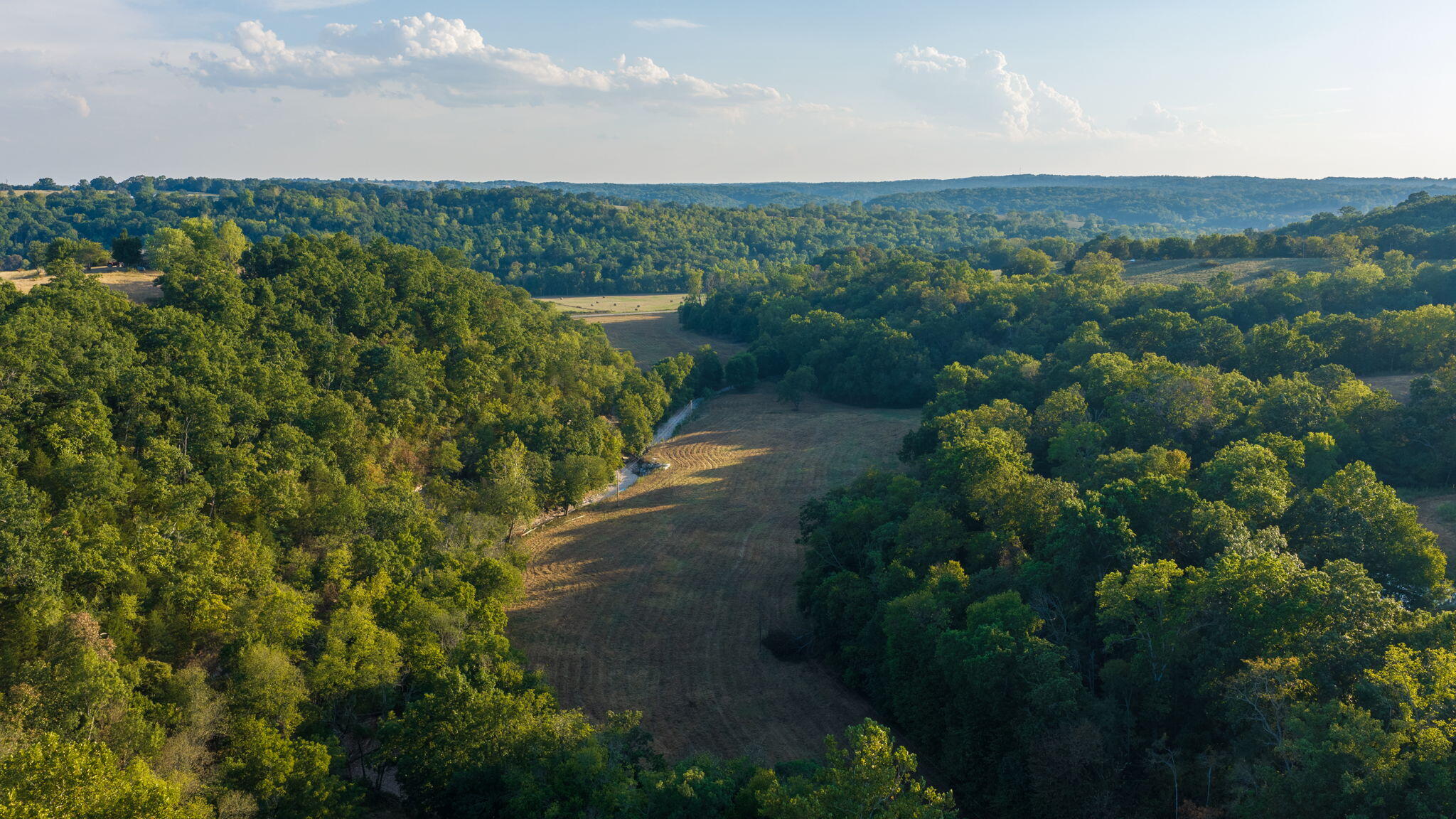 Photo 18 - Land for sale – 0000  State Highway 90   Washburn, MO
