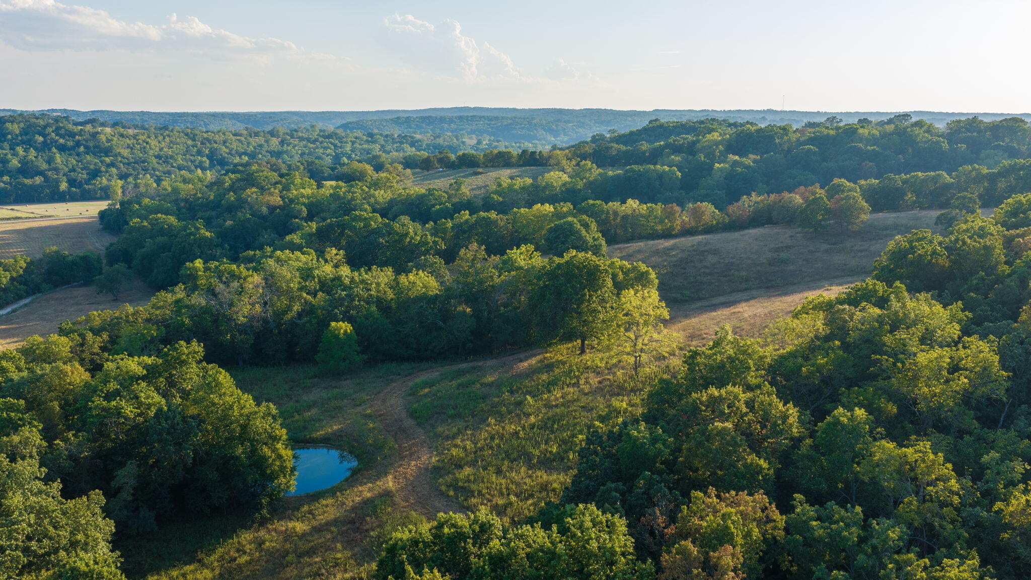 Photo 17 - Land for sale – 0000  State Highway 90   Washburn, MO