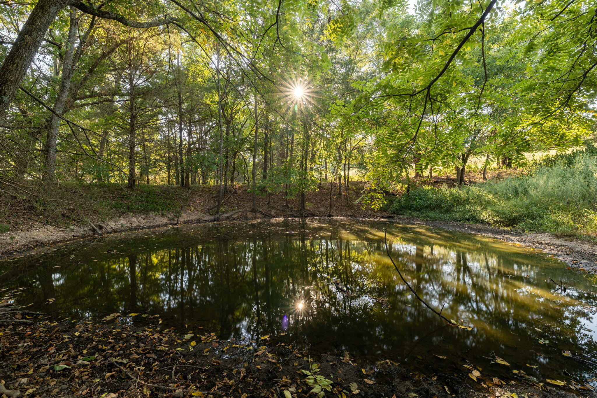 Photo 33 - Land for sale – 0000  State Highway 90   Washburn, MO