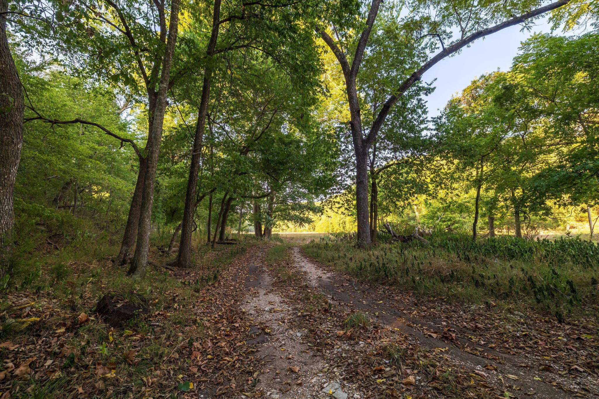 Photo 38 - Land for sale – 0000  State Highway 90   Washburn, MO