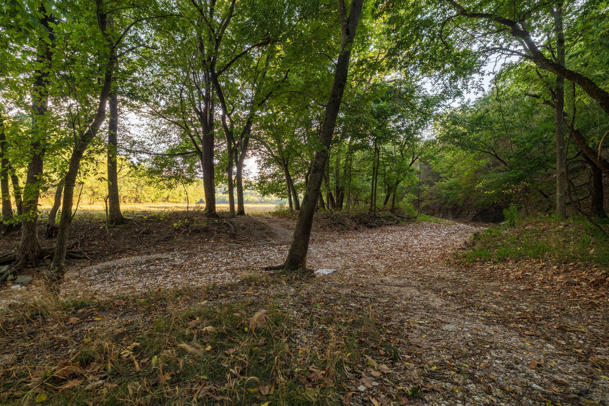 Photo 39 - Land for sale – 0000  State Highway 90   Washburn, MO