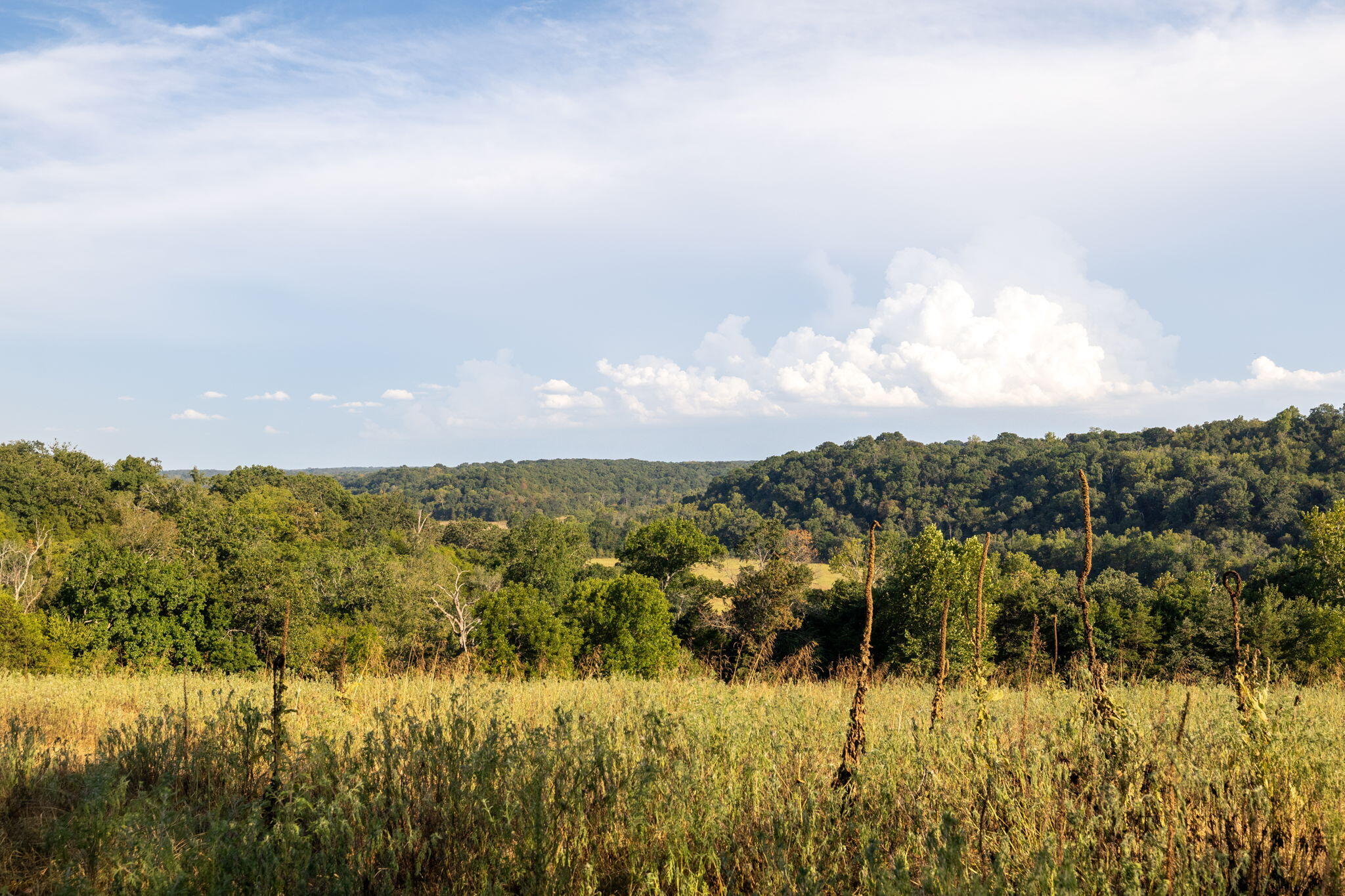 Photo 30 - Land for sale – 0000  State Highway 90   Washburn, MO