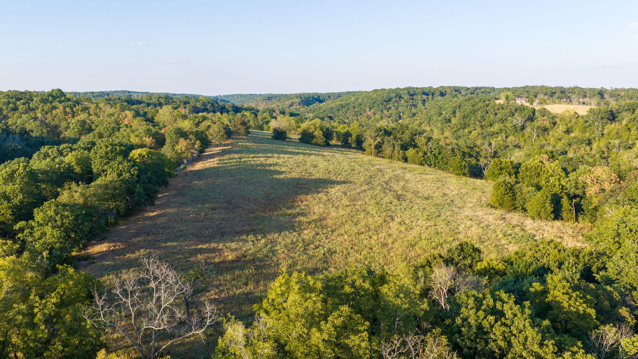 Photo 7 - Land for sale – 0000  State Highway 90   Washburn, MO