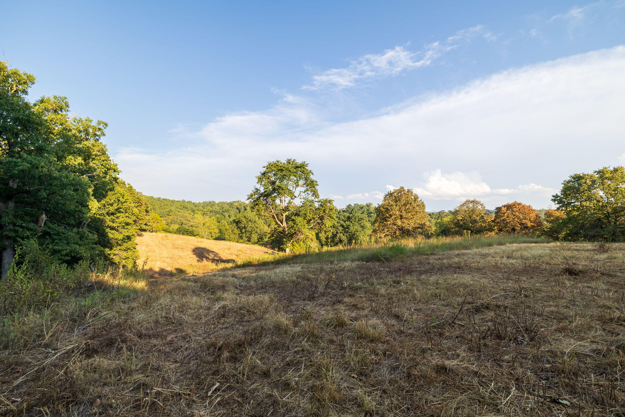 Photo 44 - Land for sale – 0000  State Highway 90   Washburn, MO