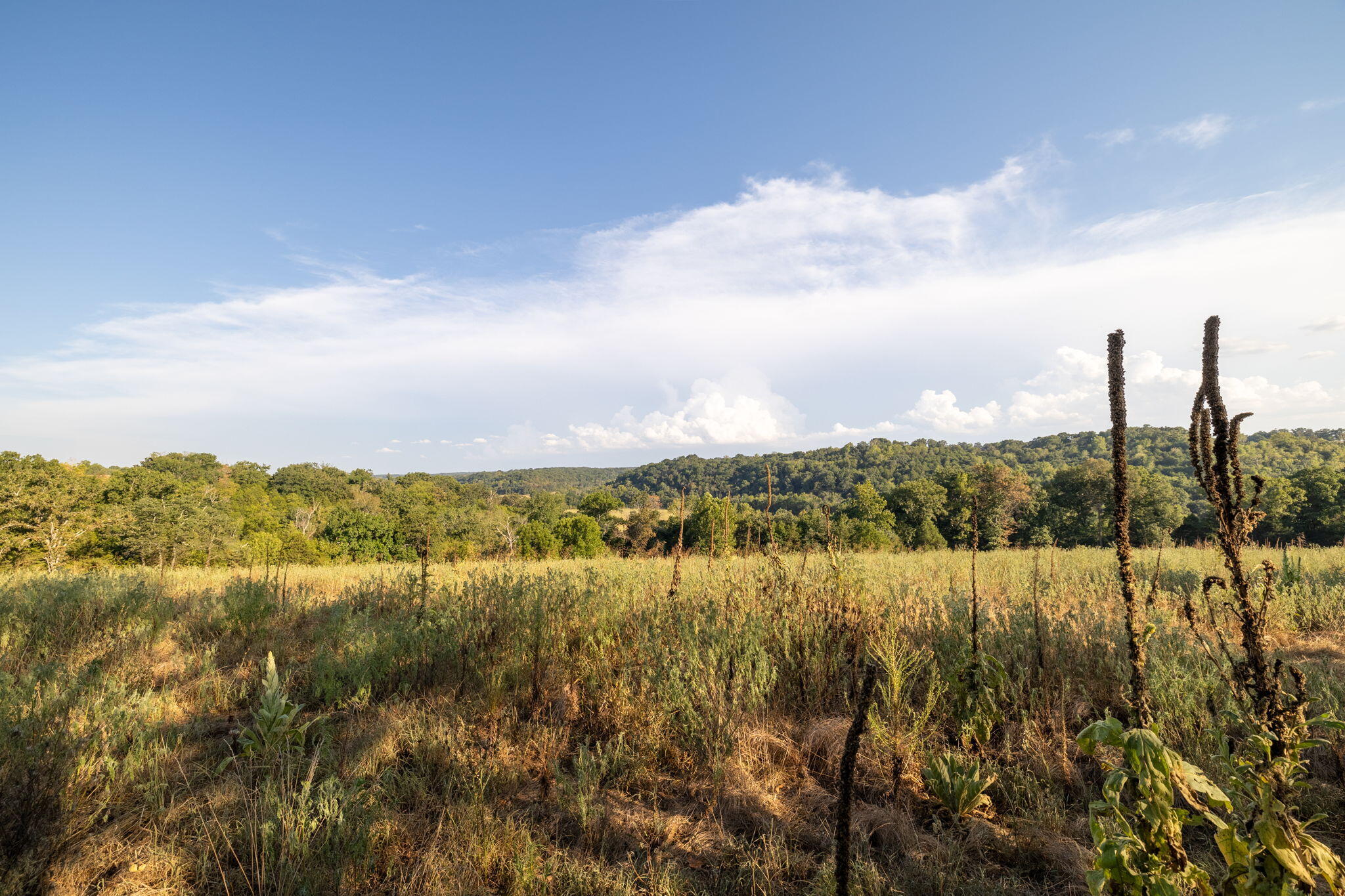 Photo 37 - Land for sale – 0000  State Highway 90   Washburn, MO