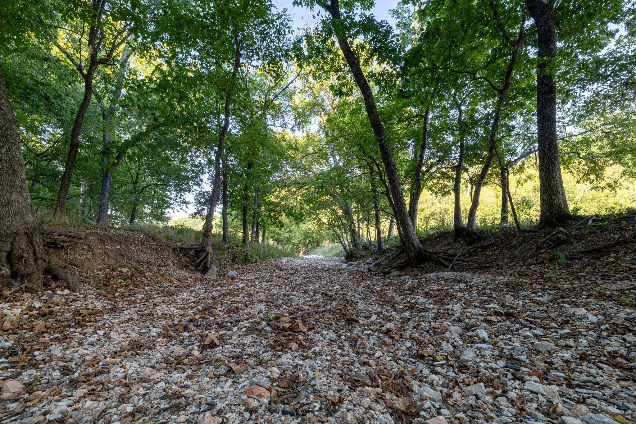 Photo 31 - Land for sale – 0000  State Highway 90   Washburn, MO