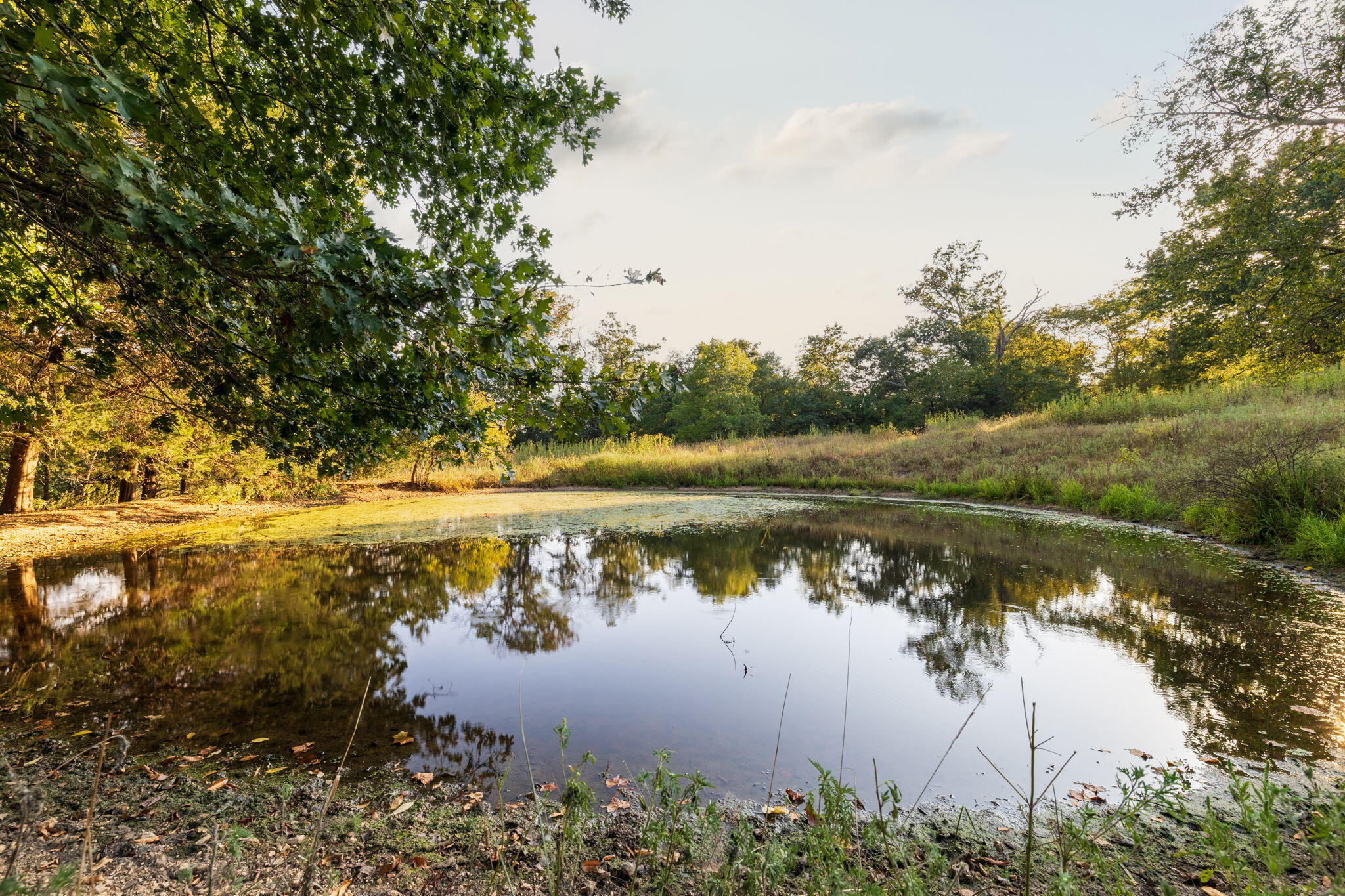 Photo 45 - Land for sale – 0000  State Highway 90   Washburn, MO