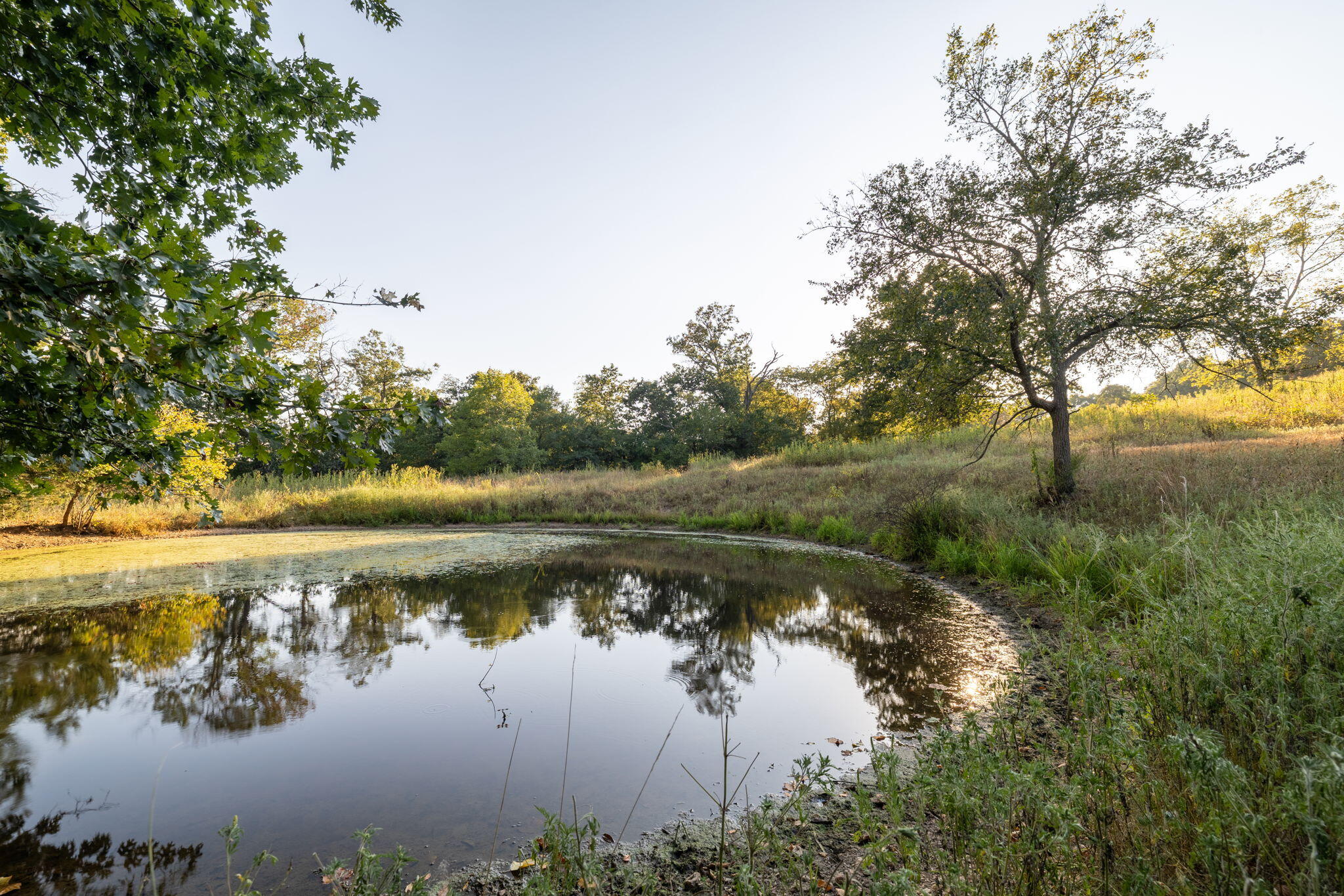 Photo 46 - Land for sale – 0000  State Highway 90   Washburn, MO