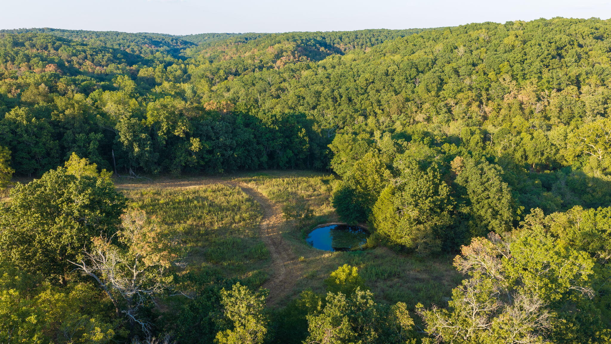 Photo 16 - Land for sale – 0000  State Highway 90   Washburn, MO