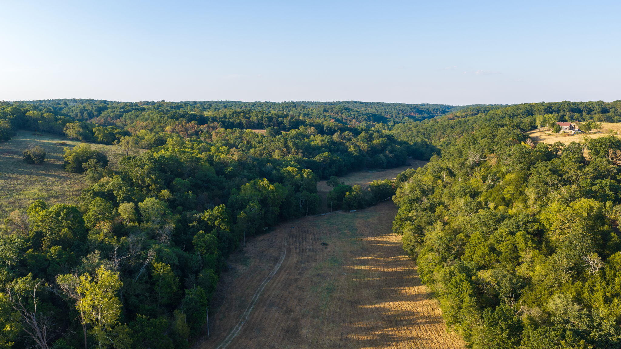 Photo 13 - Land for sale – 0000  State Highway 90   Washburn, MO