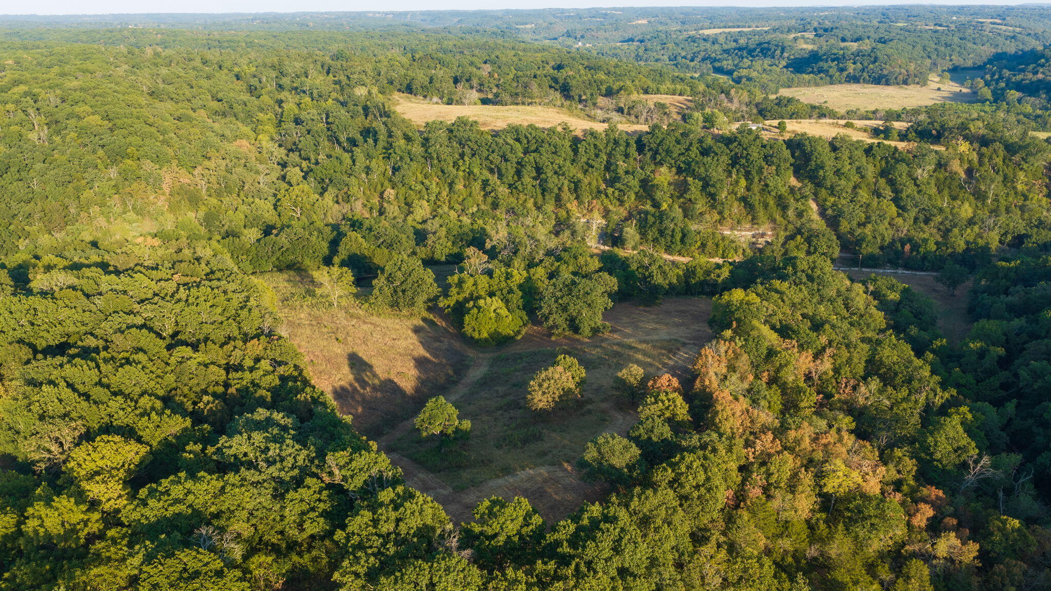 Photo 23 - Land for sale – 0000  State Highway 90   Washburn, MO