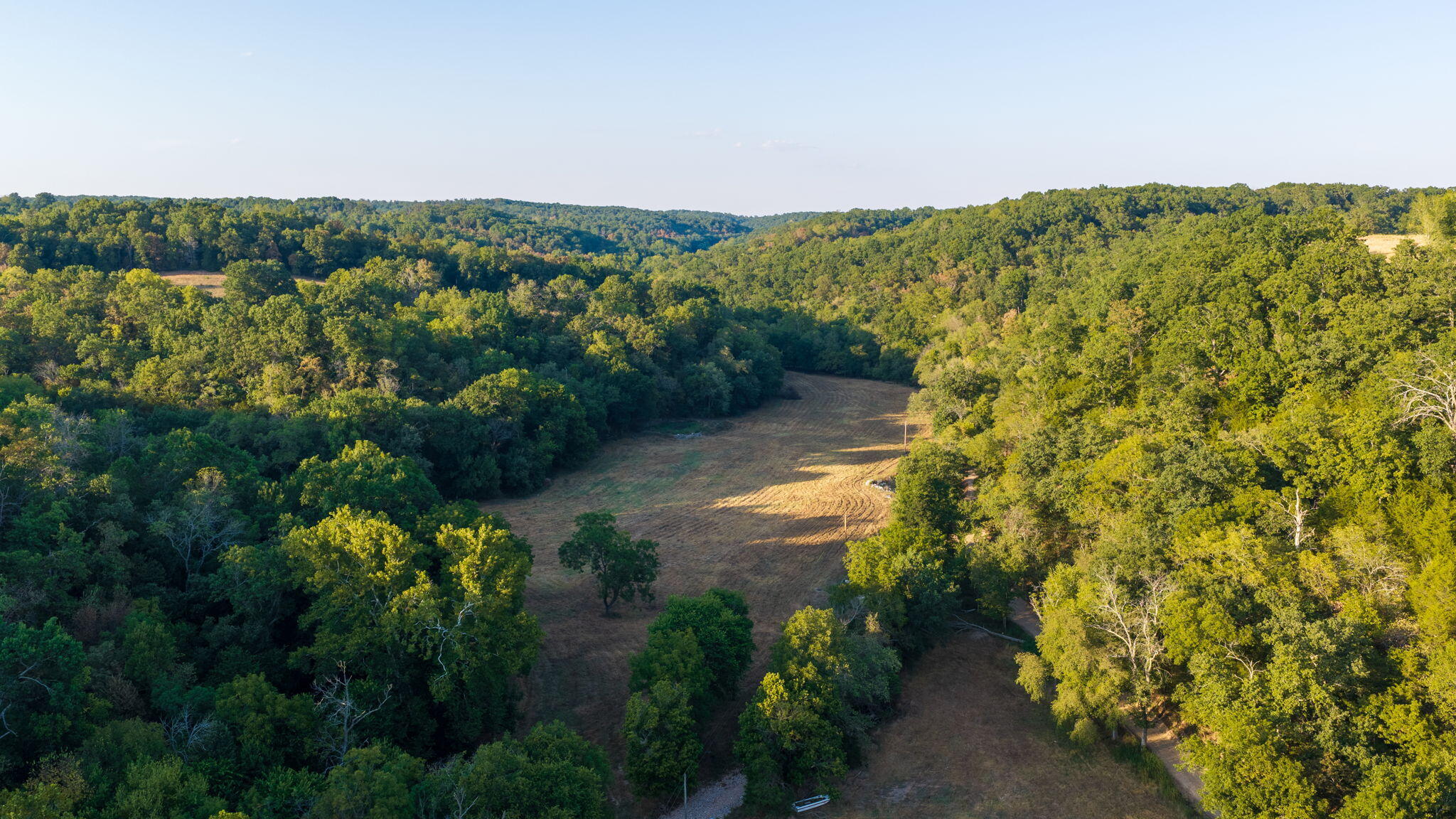 Photo 14 - Land for sale – 0000  State Highway 90   Washburn, MO