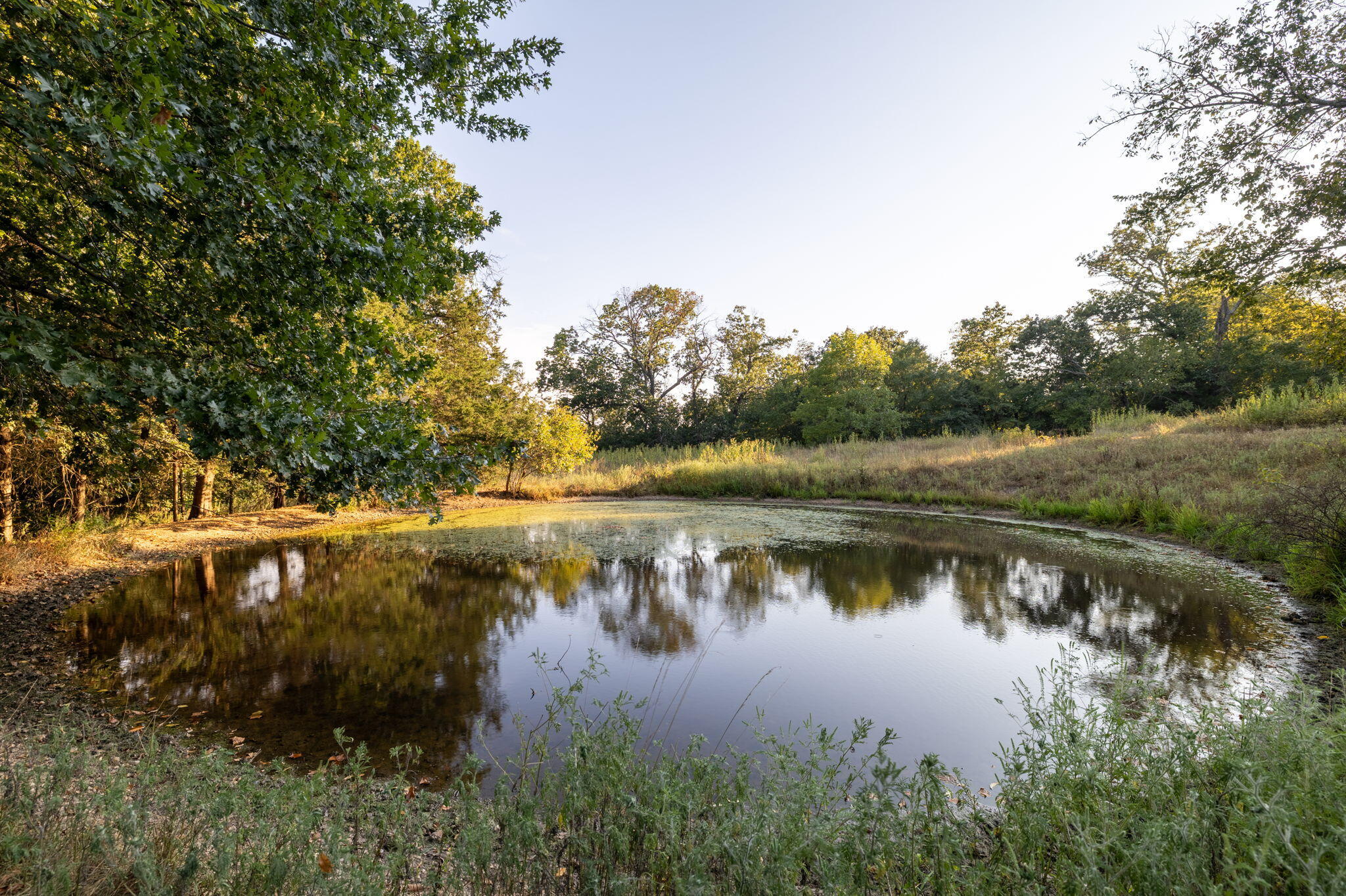 Photo 49 - Land for sale – 0000  State Highway 90   Washburn, MO