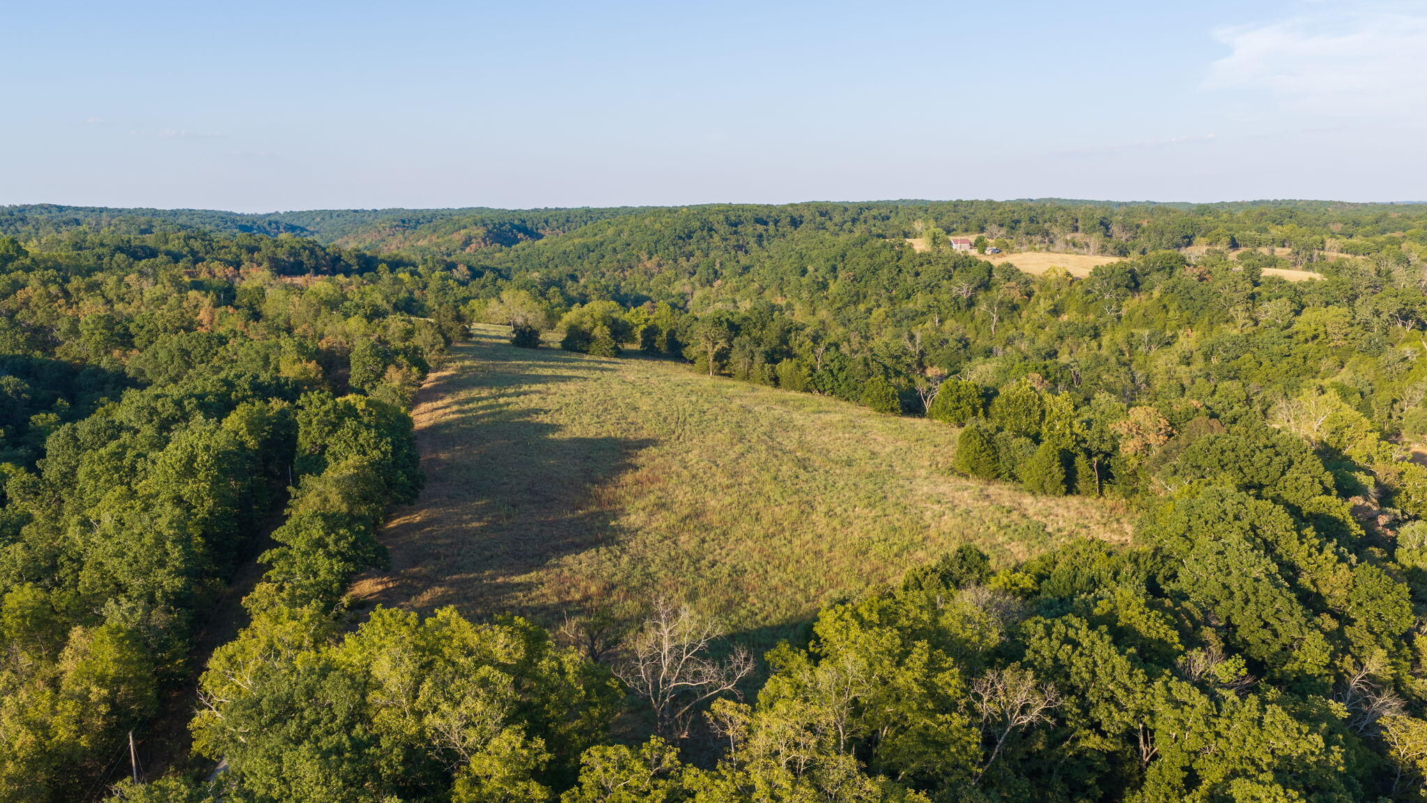 Photo 6 - Land for sale – 0000  State Highway 90   Washburn, MO