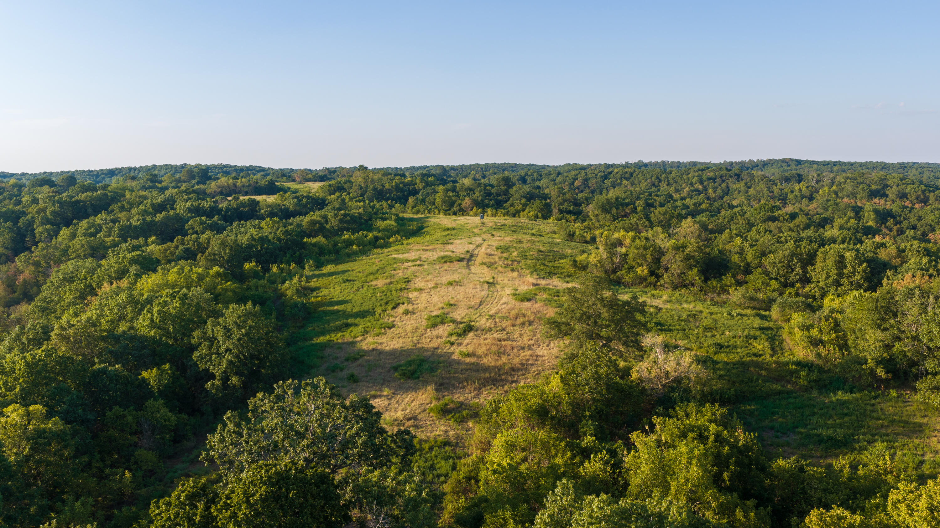Photo 3 - Land for sale – 0000  State Highway 90   Washburn, MO