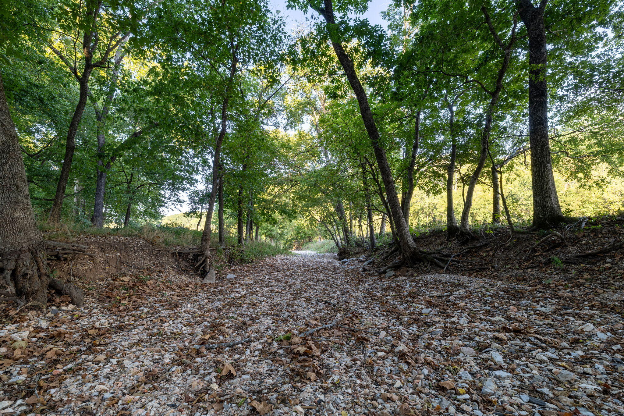 Photo 34 - Land for sale – 0000  State Highway 90   Washburn, MO