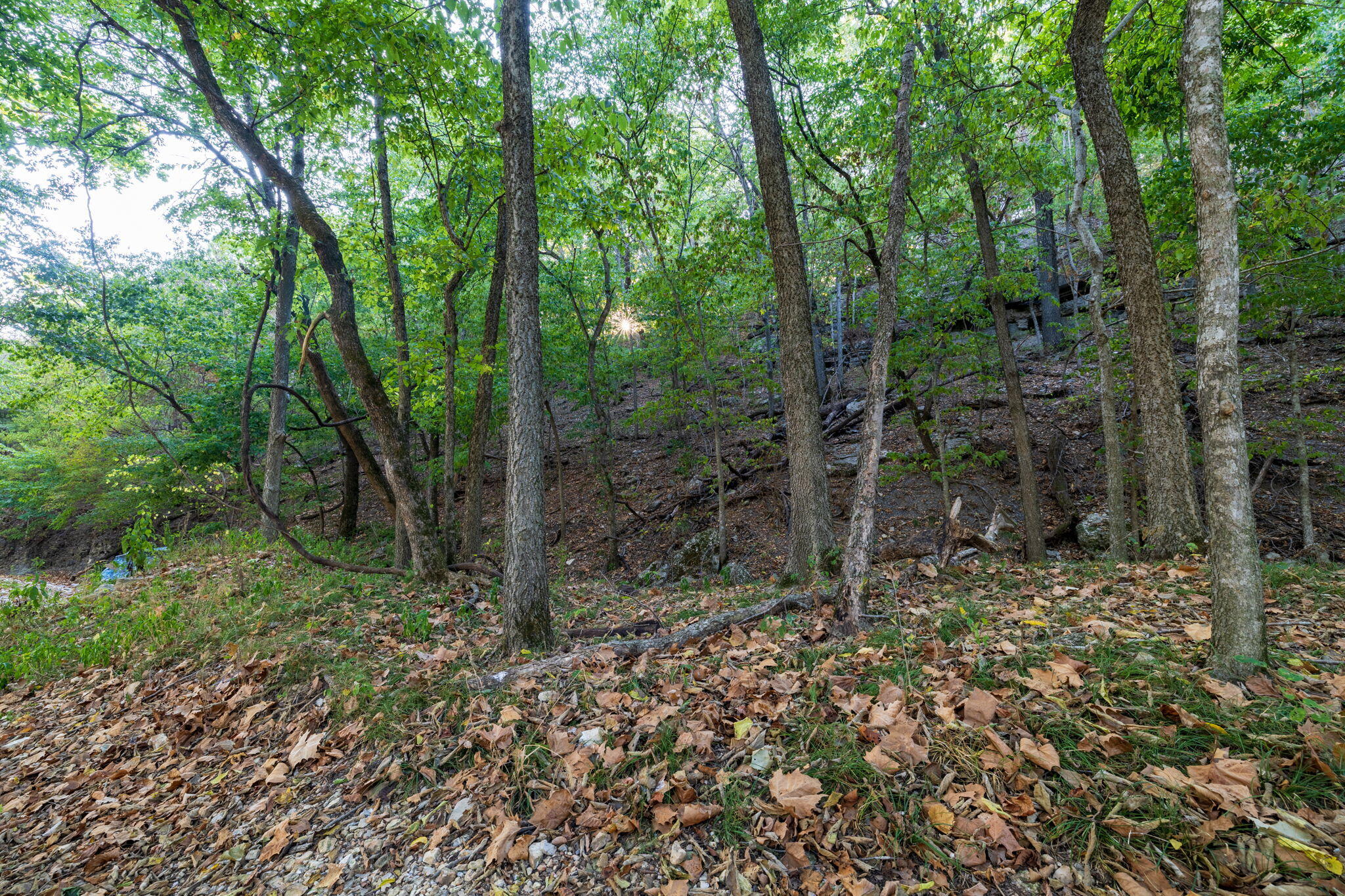 Photo 35 - Land for sale – 0000  State Highway 90   Washburn, MO
