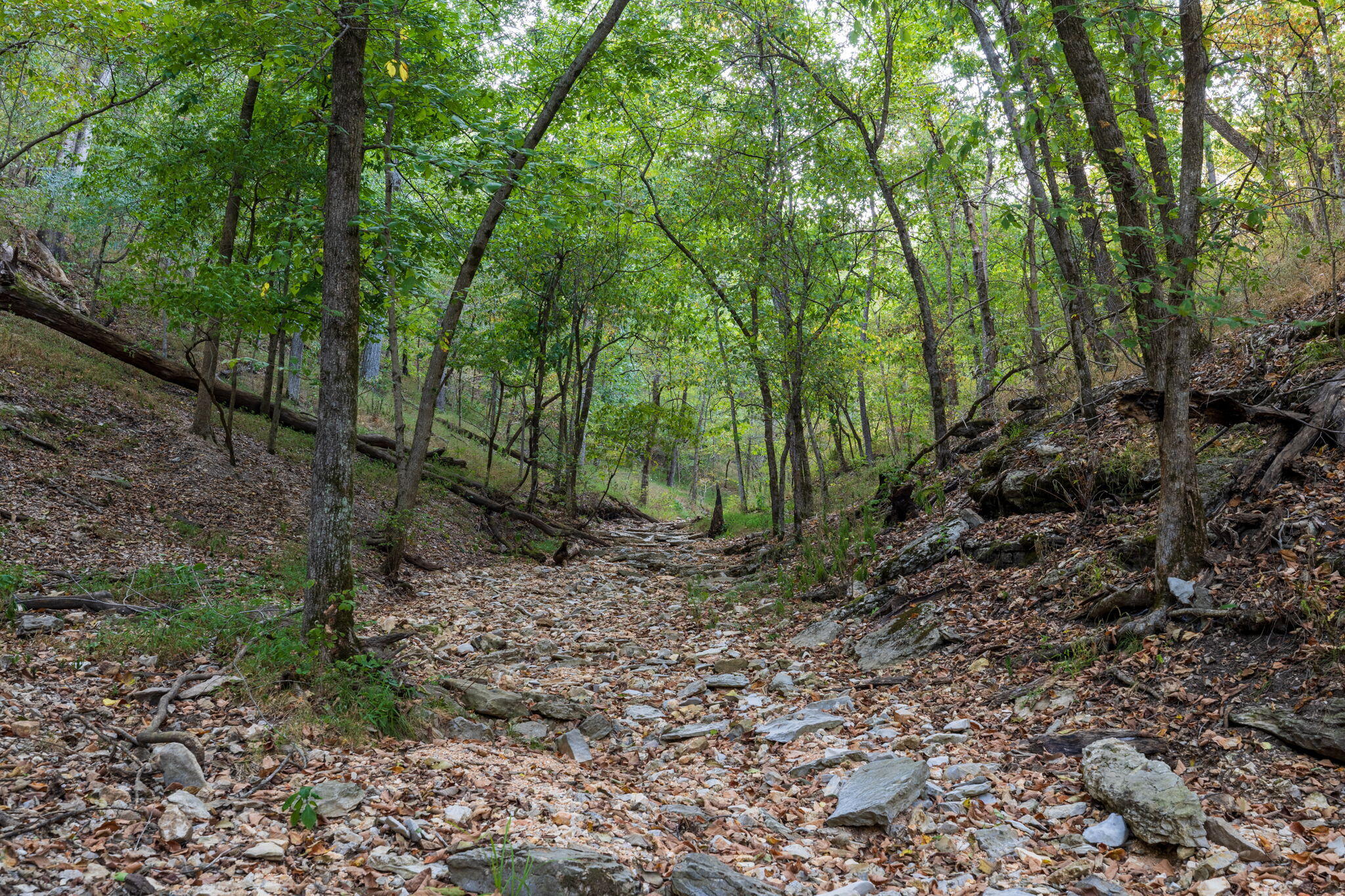 Photo 41 - Land for sale – 0000  State Highway 90   Washburn, MO
